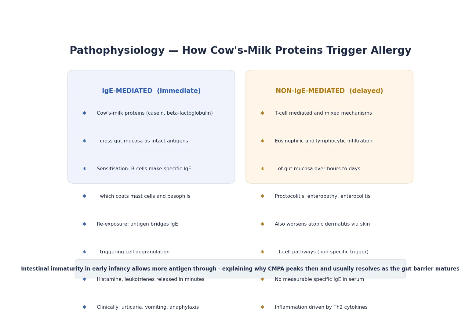 Left column shows the IgE-mediated pathway: milk protein crosses gut, sensitisation, mast-cell degranulation in minutes; right column shows non-IgE T-cell and eosinophilic gut inflammation over hours to days; footer teaches that intestinal immaturity explains why CMPA peaks in infancy and resolves