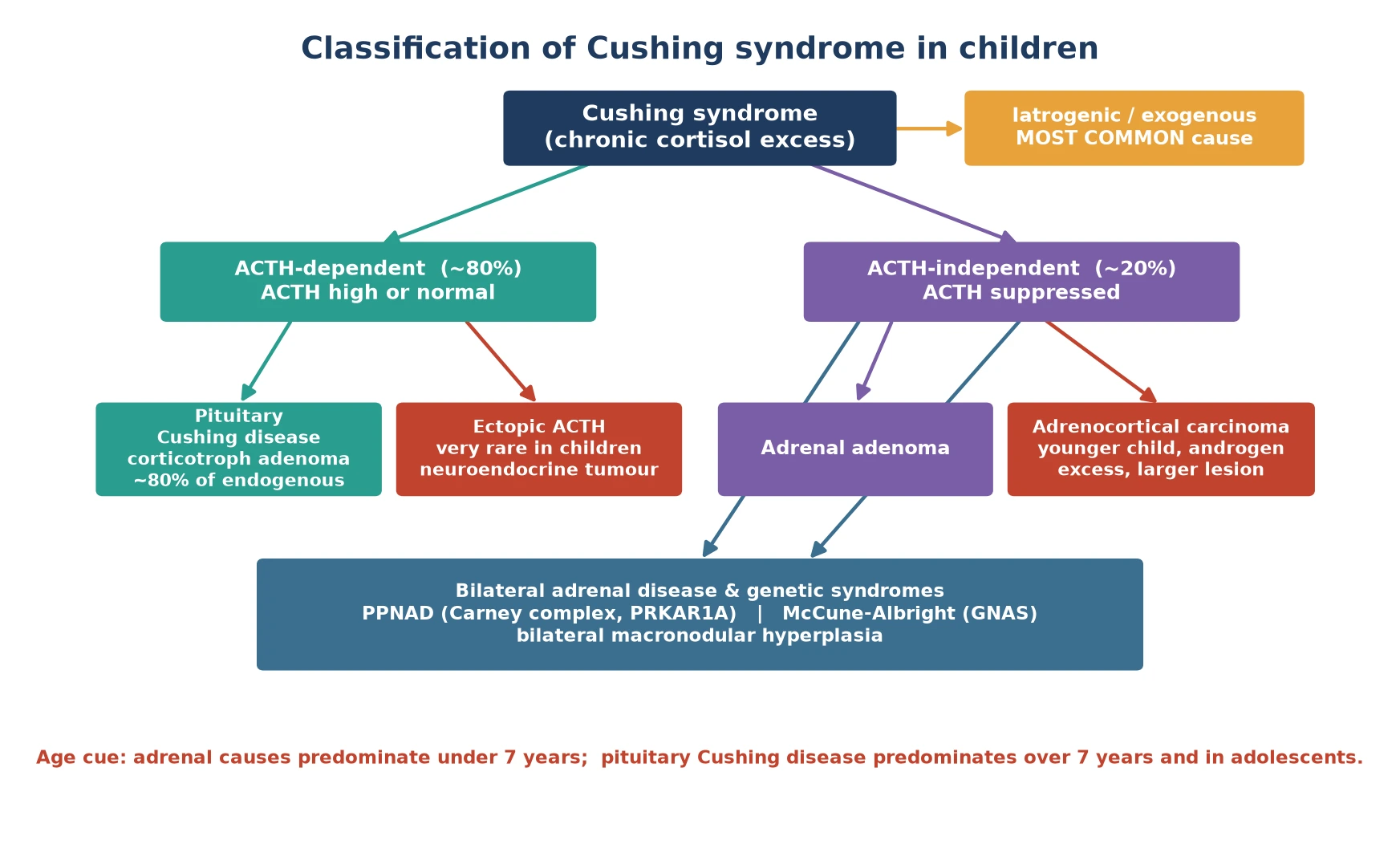 Classification tree of Cushing syndrome showing the exogenous or iatrogenic cause as most common, then the endogenous causes split into ACTH-dependent (pituitary Cushing disease, ectopic ACTH) and ACTH-independent (adrenal adenoma, carcinoma, bilateral disease and genetic syndromes such as Carney complex and McCune-Albright), with an age cue that adrenal causes predominate in younger children and pituitary disease in older children and adolescents.