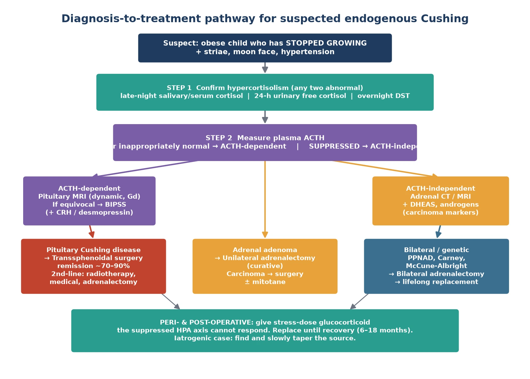 Diagnosis-to-treatment pathway for suspected endogenous Cushing syndrome: confirm with two of three tests, measure ACTH to localise, then proceed to pituitary MRI with inferior petrosal sinus sampling for ACTH-dependent disease or adrenal CT or MRI for ACTH-independent disease, leading to transsphenoidal surgery, unilateral or bilateral adrenalectomy, with perioperative glucocorticoid replacement and iatrogenic taper.