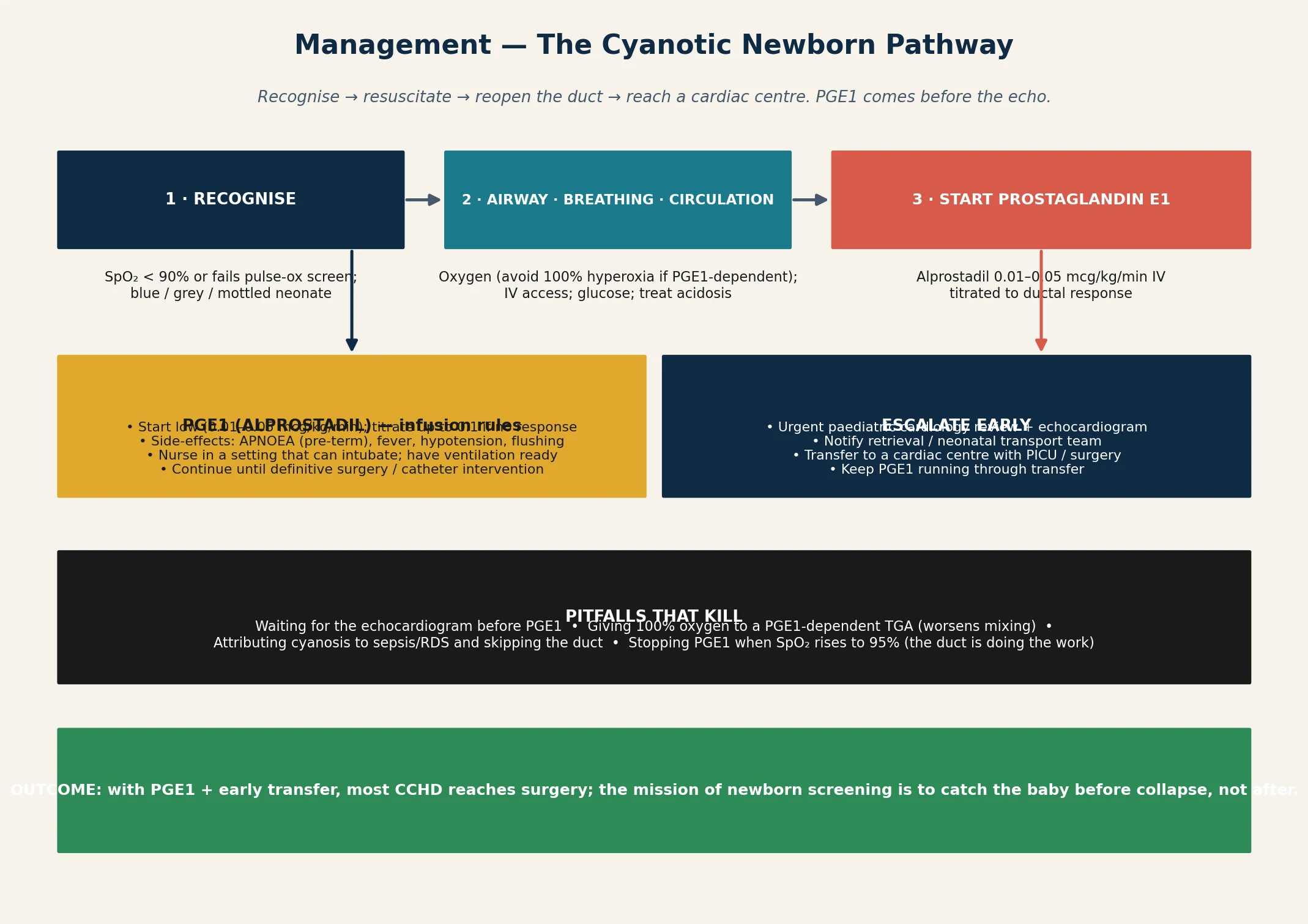 A stepwise escalation pathway for the cyanotic newborn: recognise the low saturation or collapse; secure airway, breathing and circulation; start prostaglandin E1 at a low dose with airway readiness; arrange an urgent echocardiogram and paediatric cardiology while treating sepsis in parallel; activate retrieval to a cardiac centre with the infusion running; and reach a definitive surgical, septostomy or staged-repair plan; a pitfalls banner warns against waiting for the echo before prostaglandin, trusting the absence of a murmur, and stopping the drug when the saturation normalises