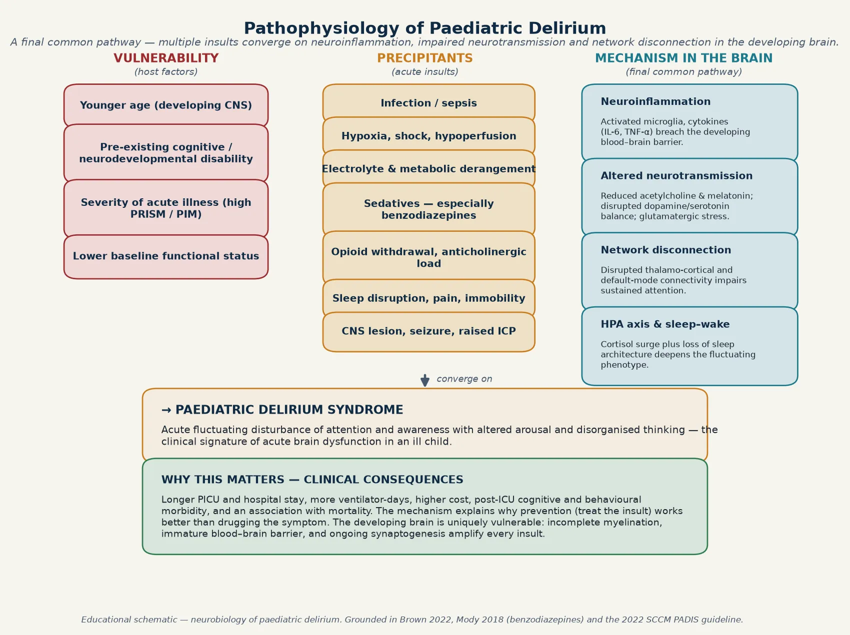 Educational biopsychosocial schematic of paediatric delirium: vulnerability factors, precipitants including benzodiazepines and infection, and brain mechanisms including neuroinflammation and network disconnection converging on the delirium syndrome