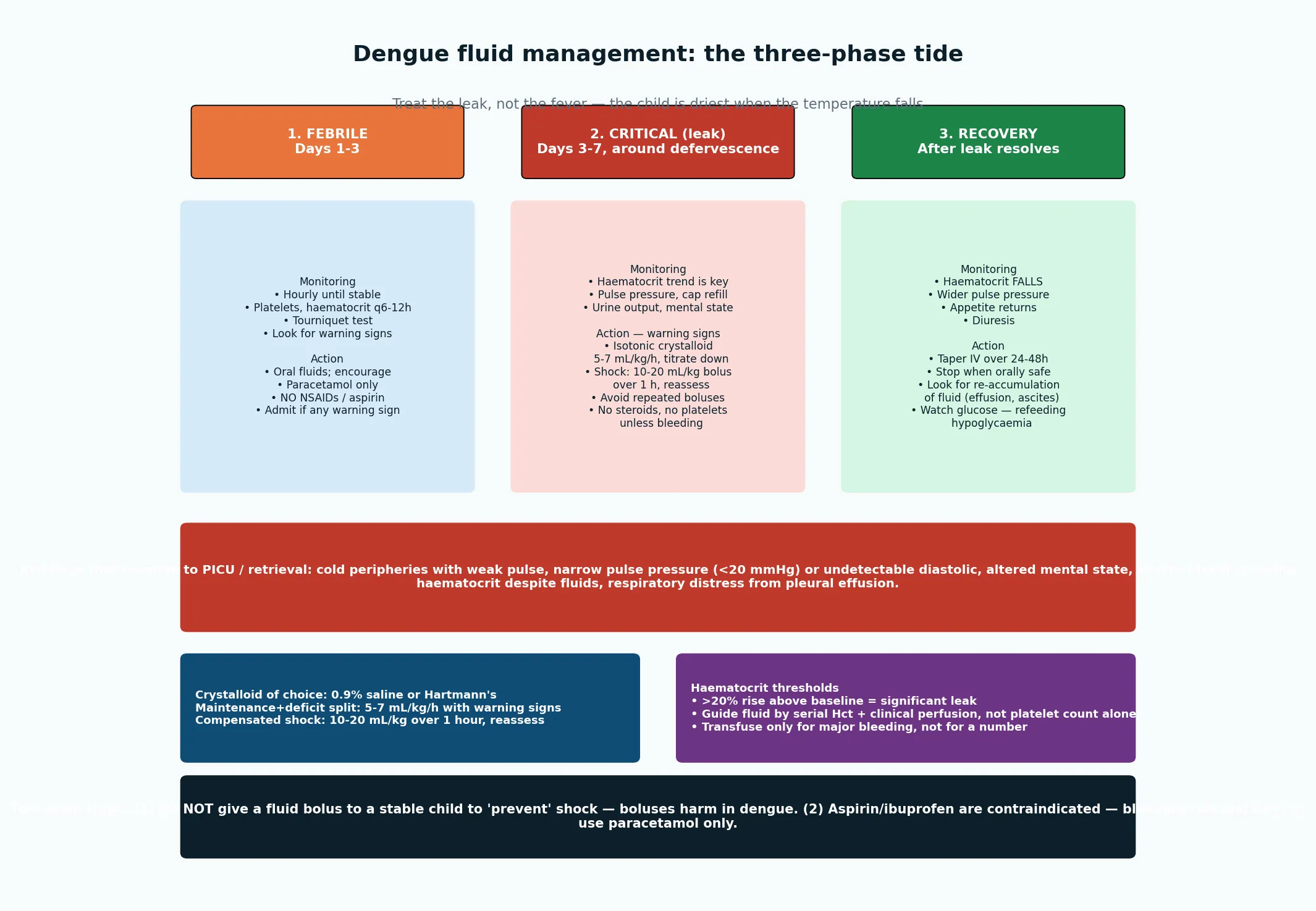 Three-phase dengue fluid management algorithm showing the febrile, critical plasma-leak and recovery phases with monitoring and fluid actions for each, the red flags that escalate to PICU, the crystalloid of choice and the haematocrit thresholds, and the two exam traps of unnecessary boluses and aspirin.