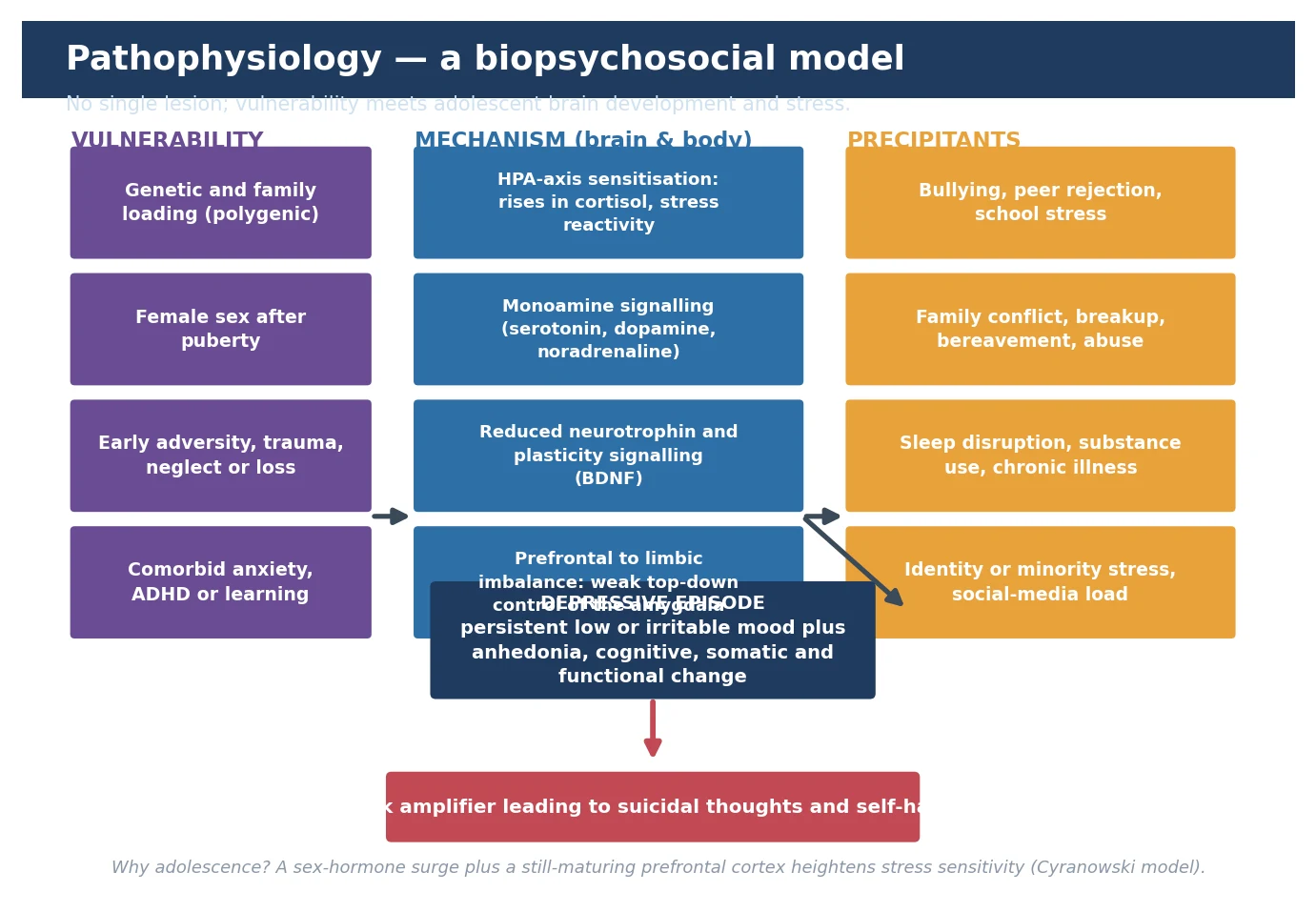 Educational biopsychosocial schematic of depression in young people: vulnerability factors, brain-and-body mechanism including HPA axis and prefrontal-limbic circuits, and precipitants converging on a depressive episode with risk amplification