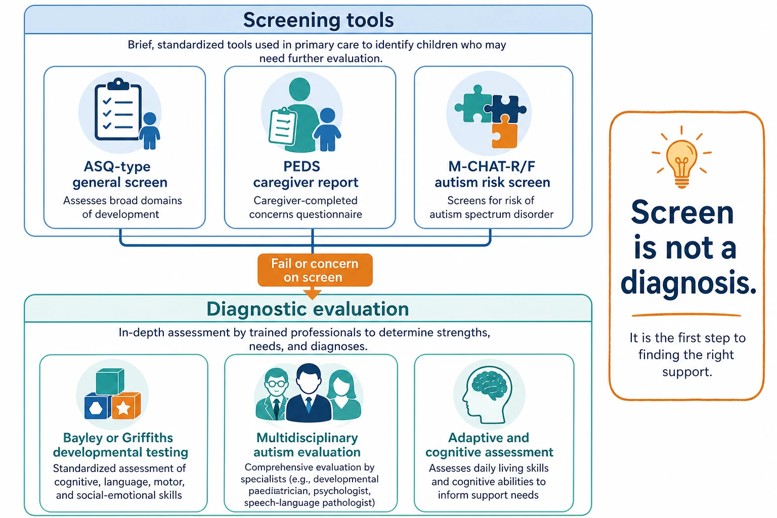 Flowchart comparing screening tools such as ASQ PEDS and M-CHAT with diagnostic evaluation tools such as Bayley Griffiths and multidisciplinary assessment