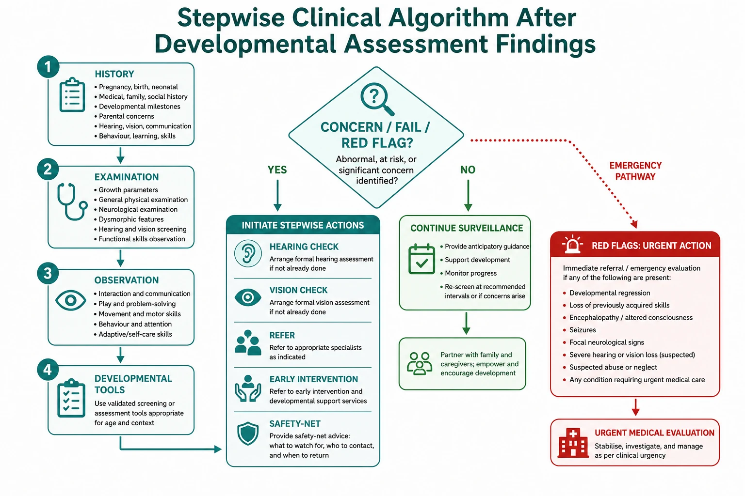 Algorithm from developmental history examination and tools through concern decision to hearing vision referral early intervention and safety-net