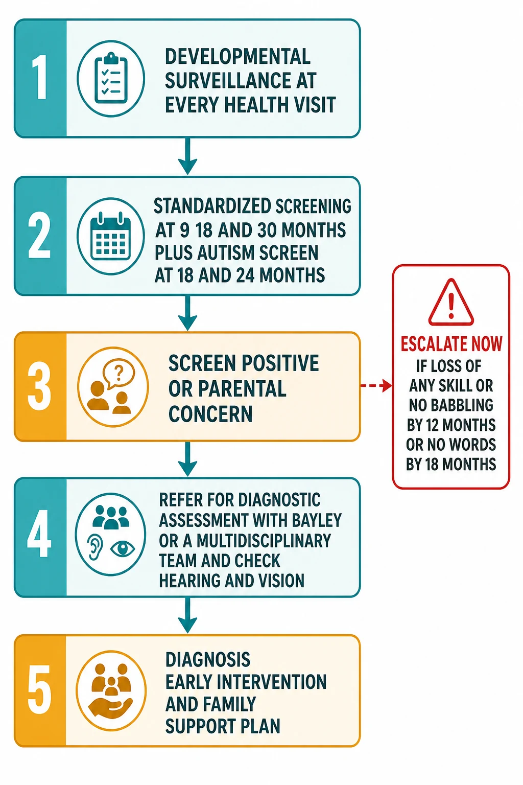 Educational stepwise flowchart of the developmental assessment pathway in five numbered boxes connected by downward arrows: surveillance at every visit, scheduled screening at 9/18/30 months plus autism screen at 18/24 months, screen-positive or concern, referral for diagnostic assessment with Bayley or a multidisciplinary team plus hearing and vision, and diagnosis with early intervention and family support; a red-bordered callout for regression and lost milestones