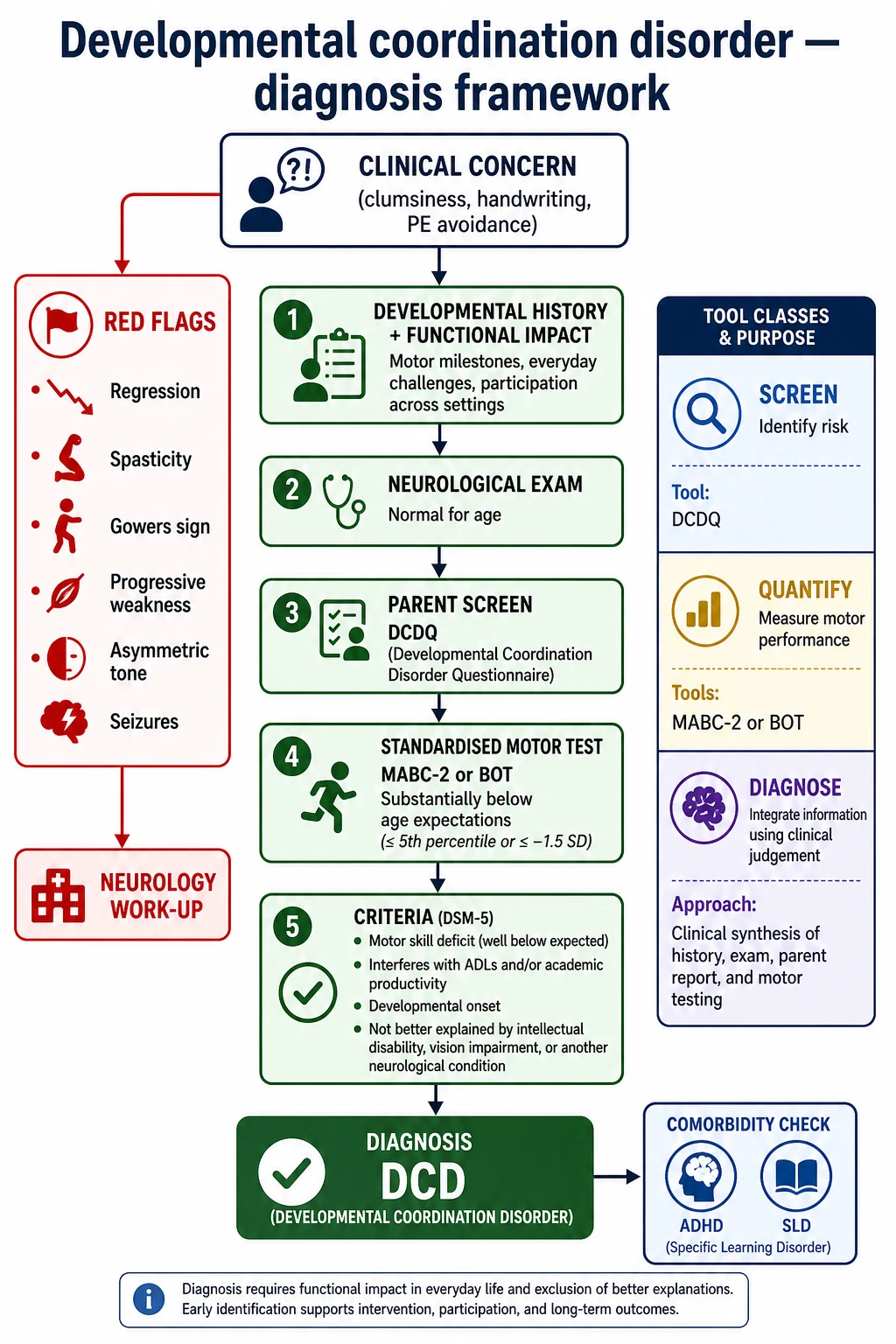 Educational flowchart from motor concern through red-flag exclusion, DCDQ screening, standardised motor testing and clinical criteria to DCD diagnosis with comorbidity check