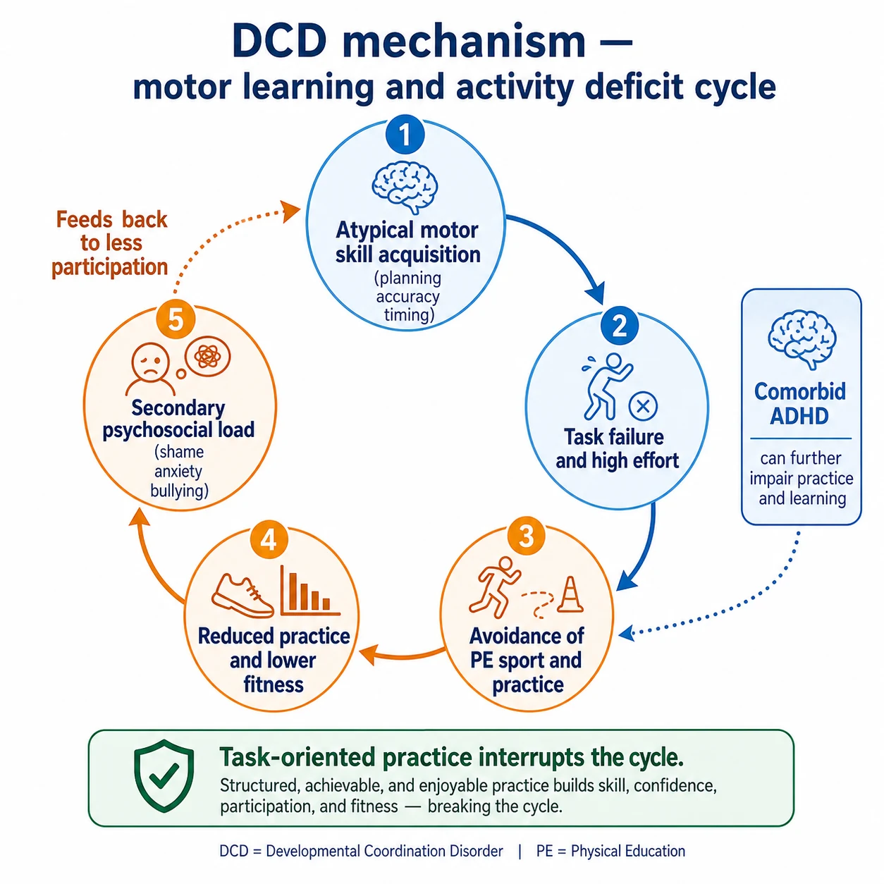 Educational cycle diagram of atypical motor learning leading to task failure, avoidance, reduced practice and fitness, and secondary psychosocial load