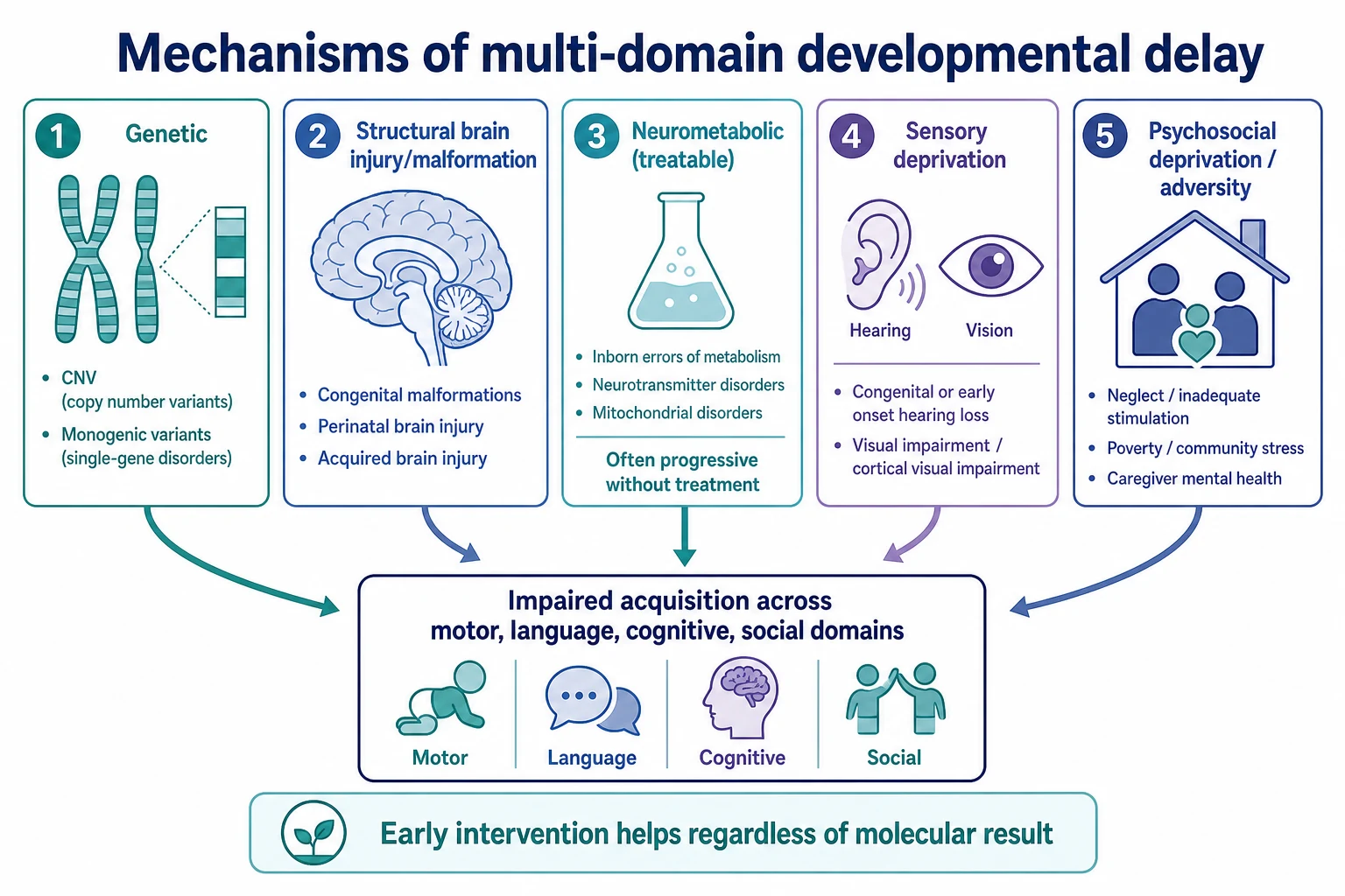 Five mechanism panels for multi-domain delay: genetic, structural brain, neurometabolic, sensory, and psychosocial pathways converging on impaired skill acquisition