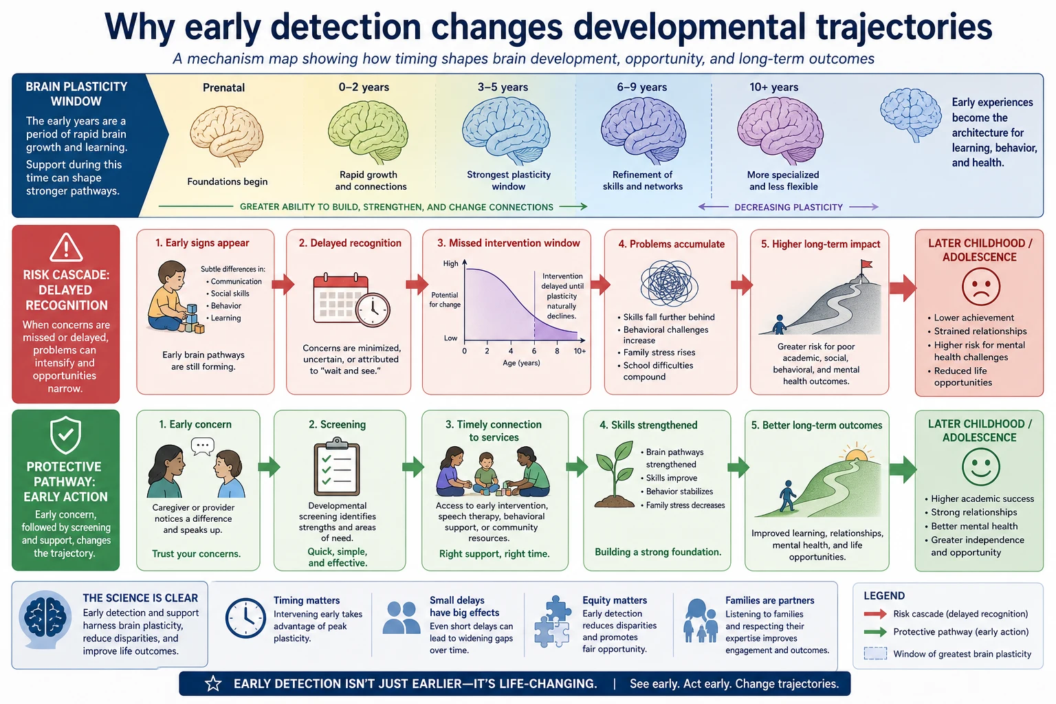 Mechanism map showing early detection opening intervention windows versus delayed recognition narrowing developmental opportunity