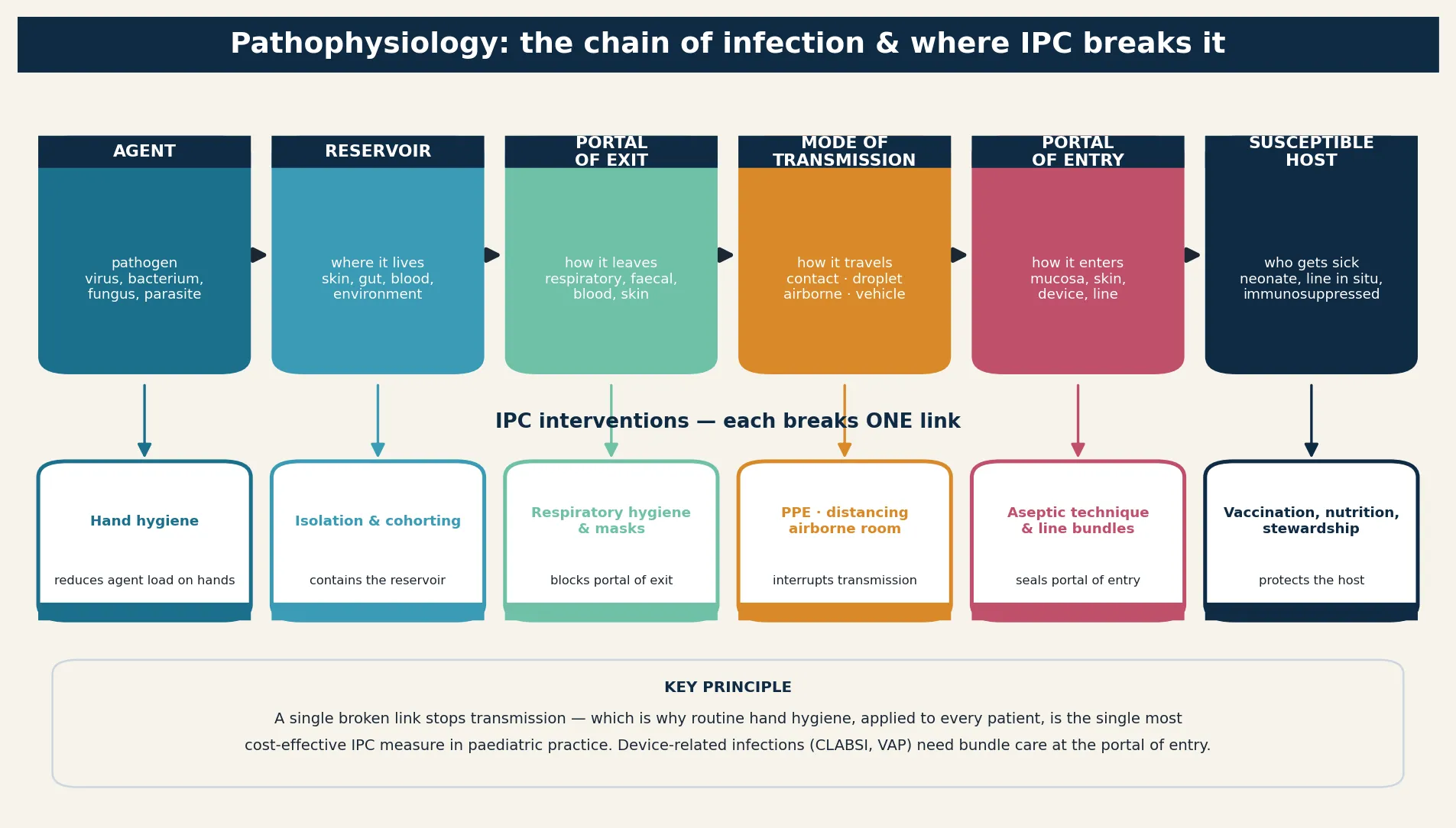 Educational schematic of device-associated infection pathophysiology showing four stages (breach, migration, biofilm formation, dissemination) with typical organisms by device type and a panel of host and exposure risk factors that amplify the cascade