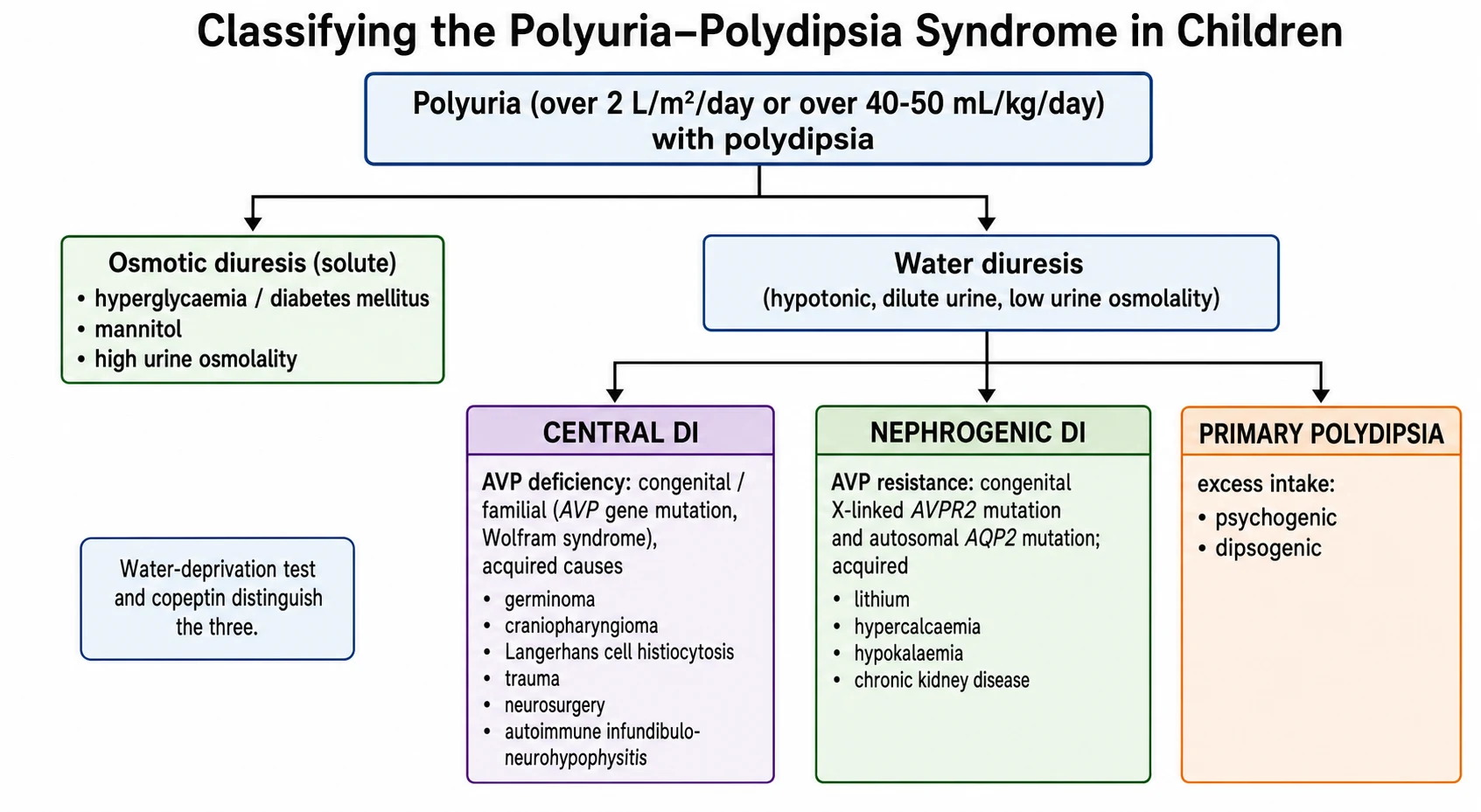 Classification tree of the paediatric polyuria-polydipsia syndrome. The root is polyuria over 2 litres per square metre per day with polydipsia. It splits into osmotic diuresis (hyperglycaemia and diabetes mellitus, mannitol, high urine osmolality) and water diuresis (hypotonic dilute urine, low urine osmolality). The water diuresis branch splits three ways: central diabetes insipidus with AVP deficiency (congenital or familial AVP gene mutation and Wolfram syndrome; acquired germinoma, craniopharyngioma, Langerhans cell histiocytosis, trauma, neurosurgery, autoimmune infundibulo-neurohypophysitis); nephrogenic diabetes insipidus with AVP resistance (congenital X-linked AVPR2 mutation and autosomal AQP2 mutation; acquired lithium, hypercalcaemia, hypokalaemia, chronic kidney disease); and primary polydipsia from excess intake (psychogenic and dipsogenic). A side note states that the water-deprivation test and copeptin distinguish the three.