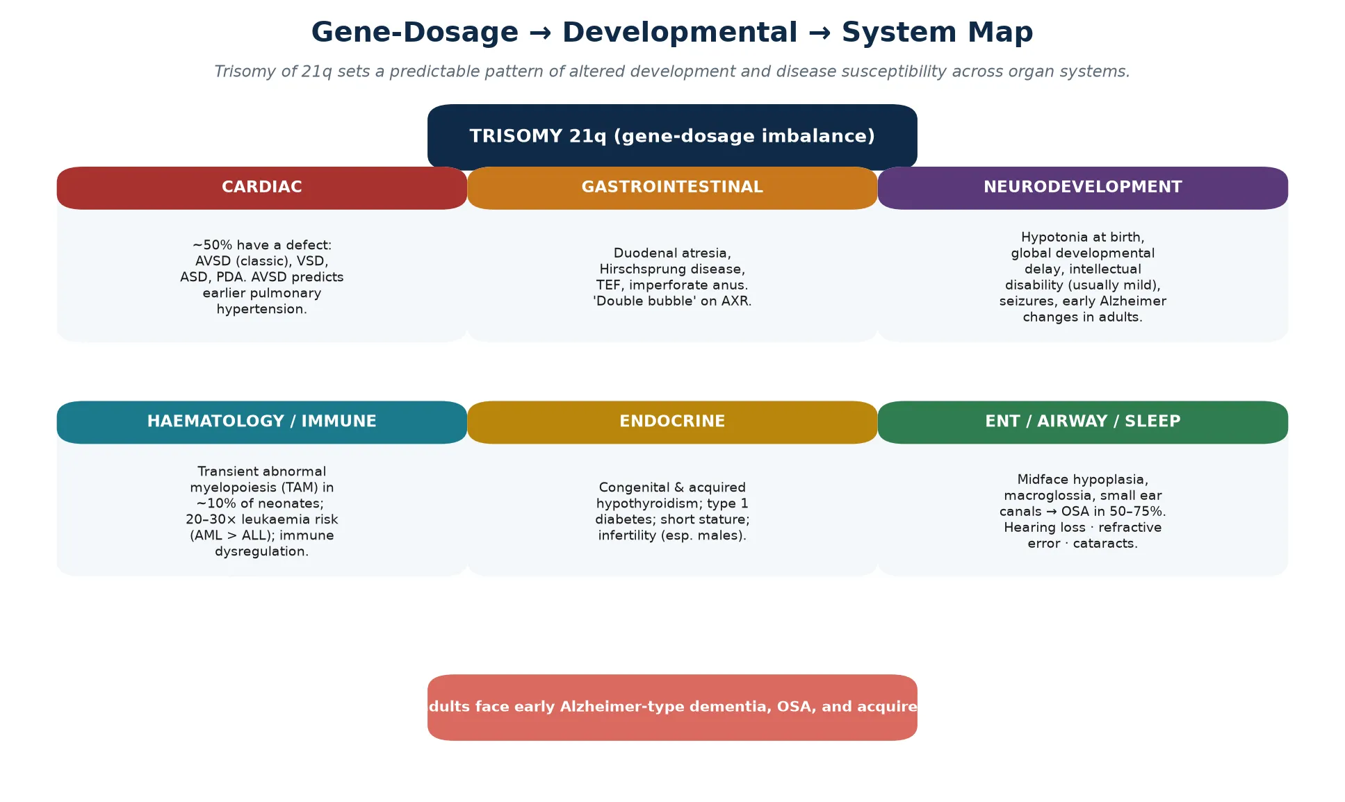 Central trisomy 21q gene-dosage box branching to six organ-system panels — cardiac, gastrointestinal, neurodevelopment, haematology and immune, endocrine, and ENT/airway/sleep — each annotated with the dominant gene-dosage-driven effect, with a footer on adult survival and early dementia