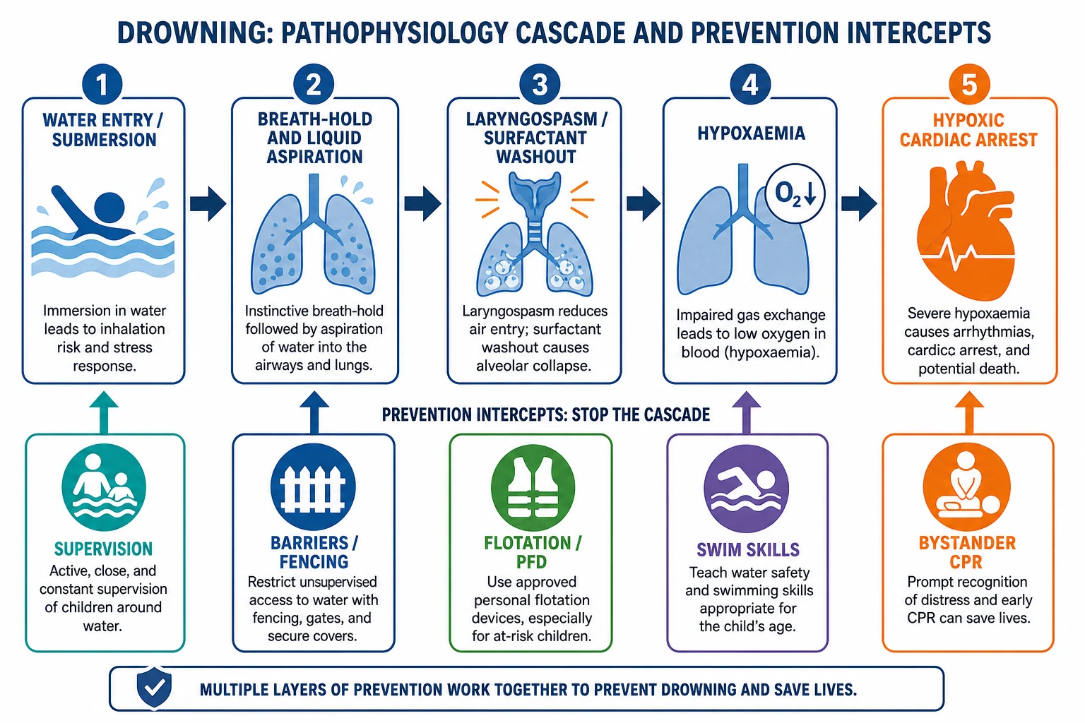 Mechanism cascade from water submersion through aspiration and hypoxaemia to hypoxic cardiac arrest, with prevention intercepts for supervision, barriers, flotation, swim skills and bystander CPR