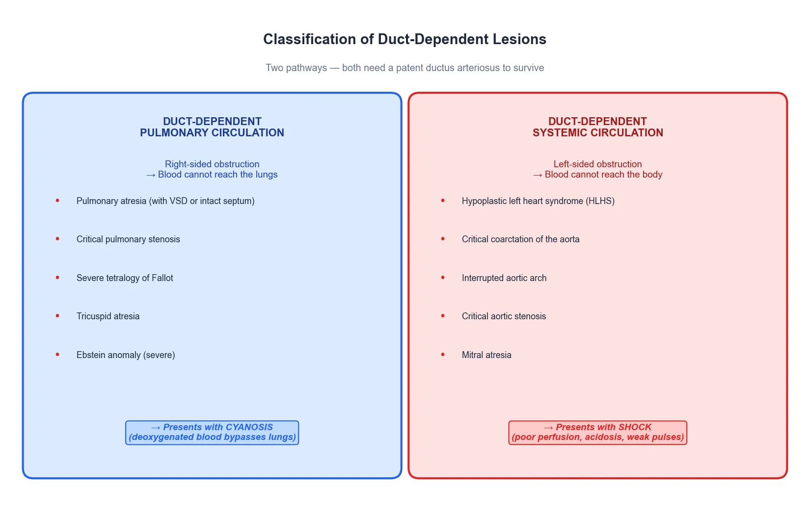 Classification of duct-dependent lesions into duct-dependent pulmonary circulation (right-sided obstruction: pulmonary atresia, critical pulmonary stenosis, severe tetralogy of Fallot, tricuspid atresia, Ebstein anomaly) presenting with cyanosis, and duct-dependent systemic circulation (left-sided obstruction: hypoplastic left heart syndrome, critical coarctation, interrupted aortic arch, critical aortic stenosis, mitral atresia) presenting with shock.