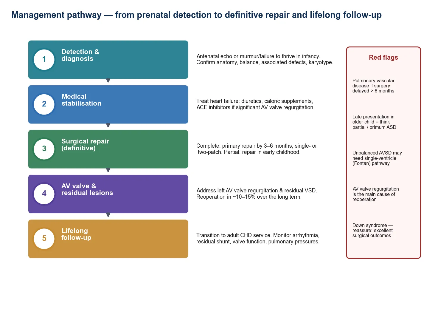 Emergency stabilisation algorithm for suspected duct-dependent CHD showing recognition of neonate with cyanosis shock or collapse, ABCDE and bedside glucose, starting prostaglandin E1 at 0.01 to 0.05 micrograms per kilogram per minute without waiting for echo, intubation for apnoea, cultures and antibiotics, side-effect monitoring, chest X-ray ECG four-limb blood pressure and venous gas, echocardiogram confirmation, and transfer to a cardiac centre.