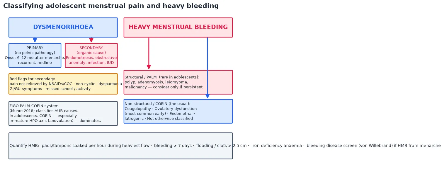 Classification of adolescent menstrual pain into primary and secondary dysmenorrhoea, and of abnormal uterine bleeding using the FIGO PALM-COEIN system with the COEIN arm (anovulation, coagulopathy) dominating in adolescents; red flags for secondary dysmenorrhoea and the clinical quantifiers of heavy menstrual bleeding are listed