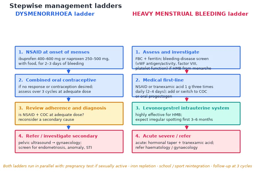 Two parallel stepwise management ladders: dysmenorrhoea from NSAID through combined oral contraceptive to review of adherence and referral; heavy menstrual bleeding from assess-and-investigate through NSAID or tranexamic acid, combined oral contraceptive or progestogen, levonorgestrel intrauterine system, to acute severe management and referral