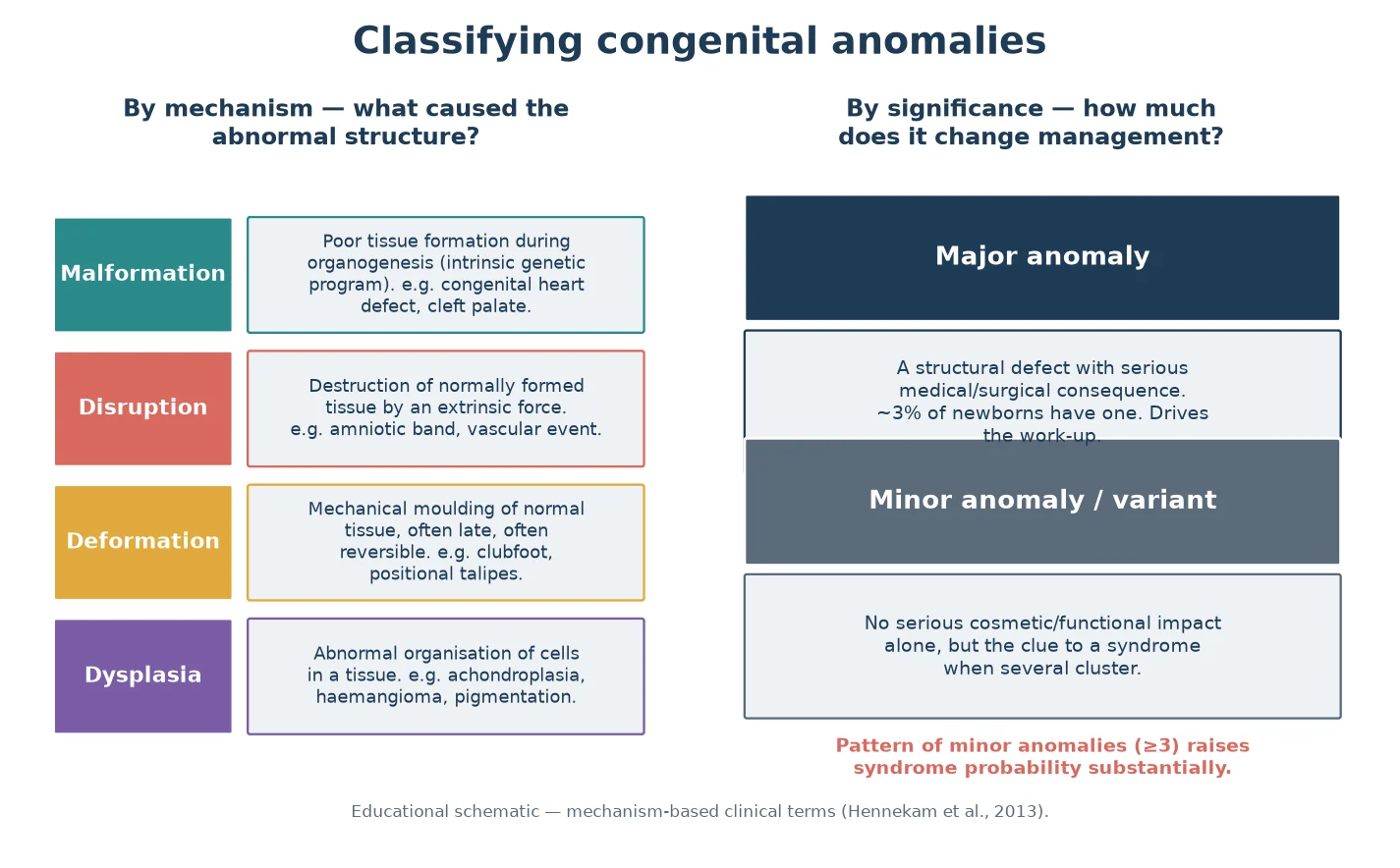 Schematic classifying congenital anomalies by mechanism (malformation, disruption, deformation, dysplasia) on the left and by significance (major versus minor anomaly) on the right