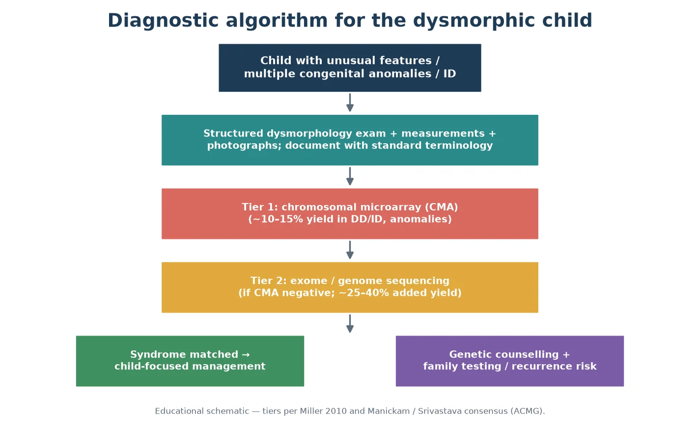 Diagnostic algorithm flowing from the dysmorphic child through structured examination to chromosomal microarray then exome or genome sequencing, then to syndrome-matched management and genetic counselling