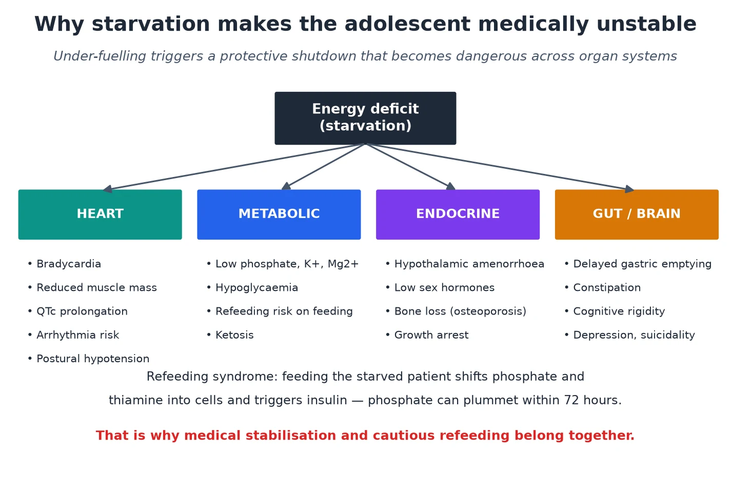 Educational mechanism diagram showing how energy deficit from starvation injures the heart, metabolism, endocrine system and gut-brain axis, with refeeding syndrome as the feeding-related danger