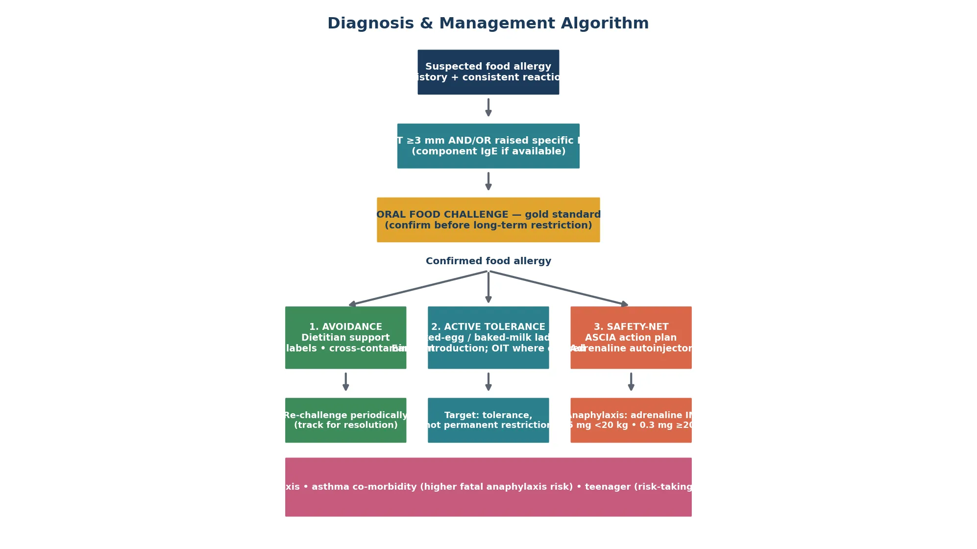 Diagnosis and management algorithm flowing from suspected food allergy through skin-prick test and specific IgE and oral food challenge confirmation, then three management pillars of avoidance with dietitian support, active tolerance via baked-food ladder and oral immunotherapy, and a safety-net of an ASCIA anaphylaxis action plan and adrenaline autoinjector, with red flags for escalation.