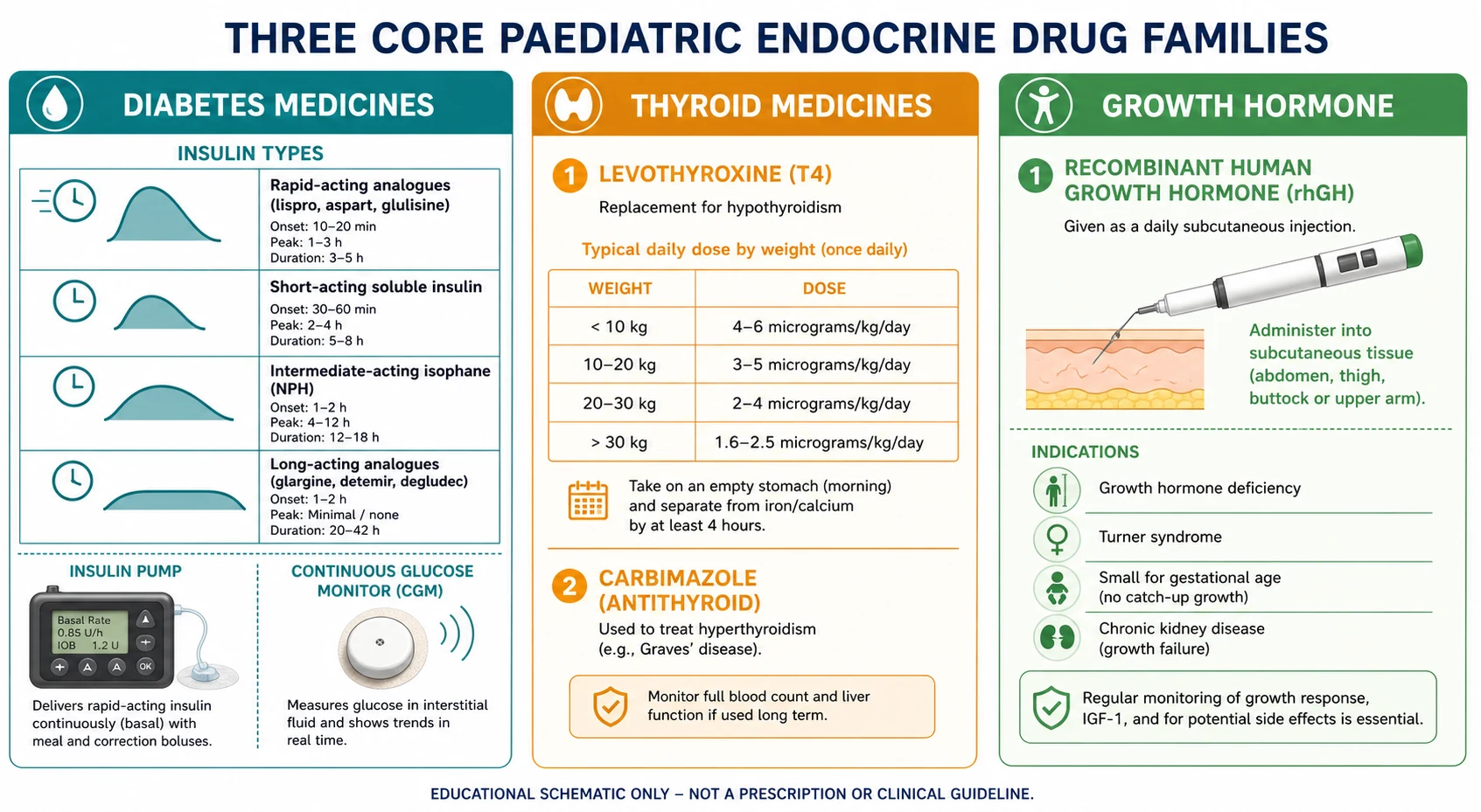 Educational schematic classifying the three core paediatric endocrine medicine families: a diabetes panel listing insulin pharmacokinetic classes from rapid-acting analogues through soluble, isophane and long-acting analogues with pump and CGM icons, a thyroid panel listing levothyroxine and carbimazole, and a growth hormone panel listing recombinant human growth hormone with licensed indications