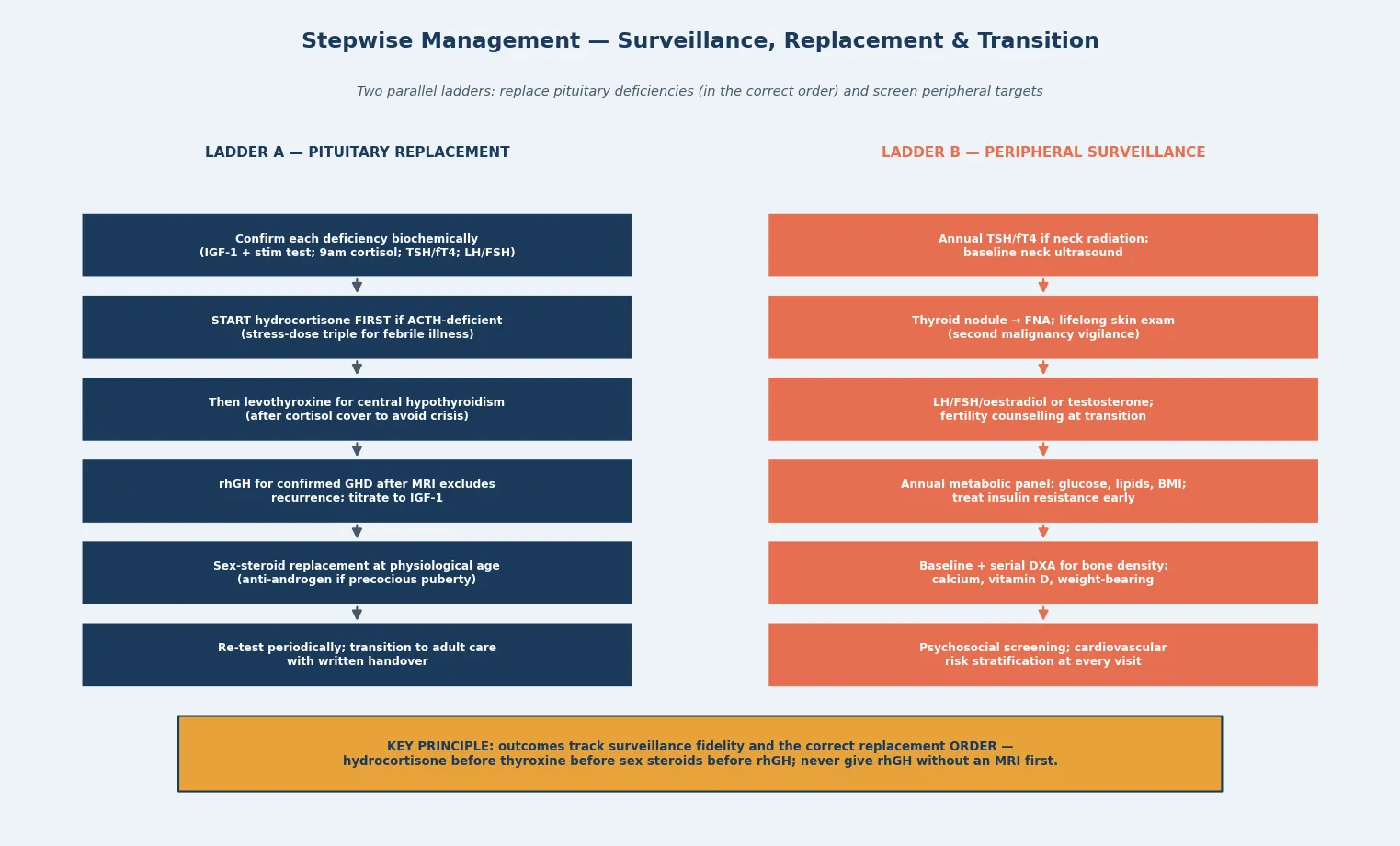 Two parallel six-step management ladders side by side — a pituitary replacement ladder running from confirm each deficiency biochemically through start hydrocortisone first if ACTH-deficient, then levothyroxine for central hypothyroidism after cortisol cover, recombinant growth hormone for confirmed deficiency after MRI, sex-steroid replacement at physiological age, and re-test and transition to adult care — and a peripheral surveillance ladder running from annual thyroid function and baseline neck ultrasound, through thyroid nodule fine-needle aspiration and lifelong skin exam, gonadotropins and fertility counselling, annual metabolic panel, baseline and serial bone density, and psychosocial and cardiovascular screening — with a key-principle sidebar stating that outcomes track surveillance fidelity and the correct replacement order of hydrocortisone before thyroxine before sex steroids before recombinant growth hormone