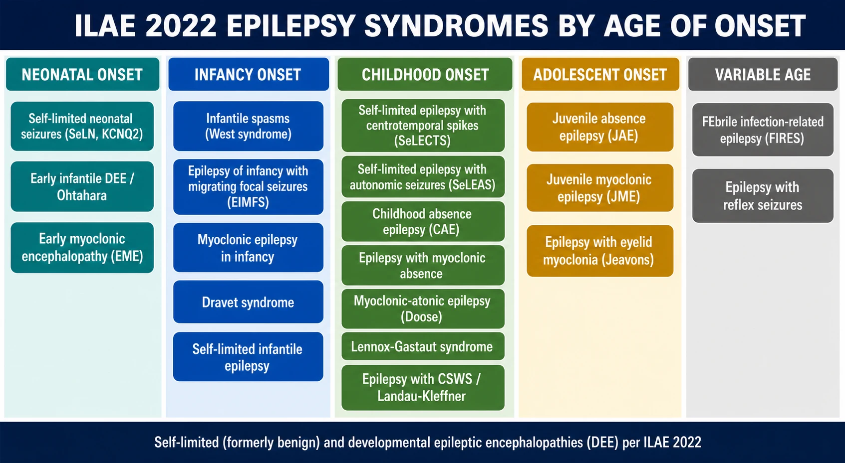 Four-column table organising ILAE 2022 epilepsy syndromes by age of onset: neonatal, infancy, childhood and adolescence, plus a variable-age column, with self-limited and developmental epileptic encephalopathy syndromes named in each