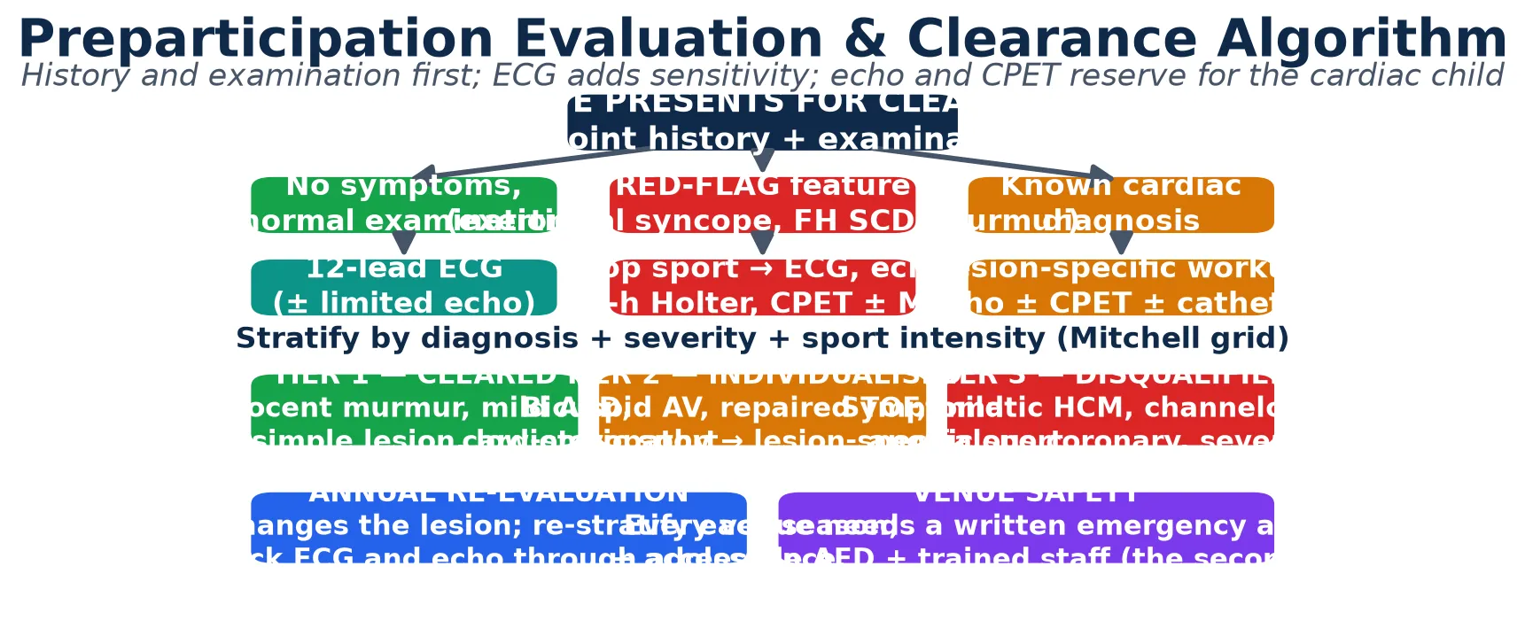 Educational management algorithm flowing from the 14-point history and examination through ECG (plus echocardiography and cardiopulmonary exercise testing for the symptomatic or known-cardiac child) into three eligibility tiers — cleared for low-risk lesions, individualised for moderate lesions matched to an acceptable Mitchell cell, and disqualified from competitive sport for high-risk lesions — with annual re-evaluation of the growing athlete and venue safety through a written emergency action plan and an accessible AED