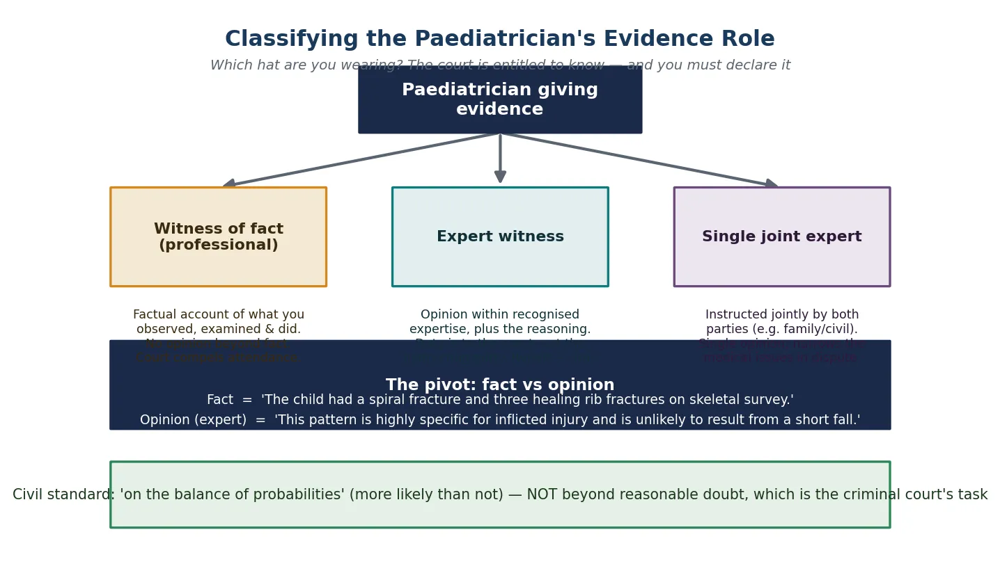 Classification flowchart distinguishing witness of fact, professional witness, expert witness and single joint expert, with the fact-versus-opinion pivot and the civil standard of proof