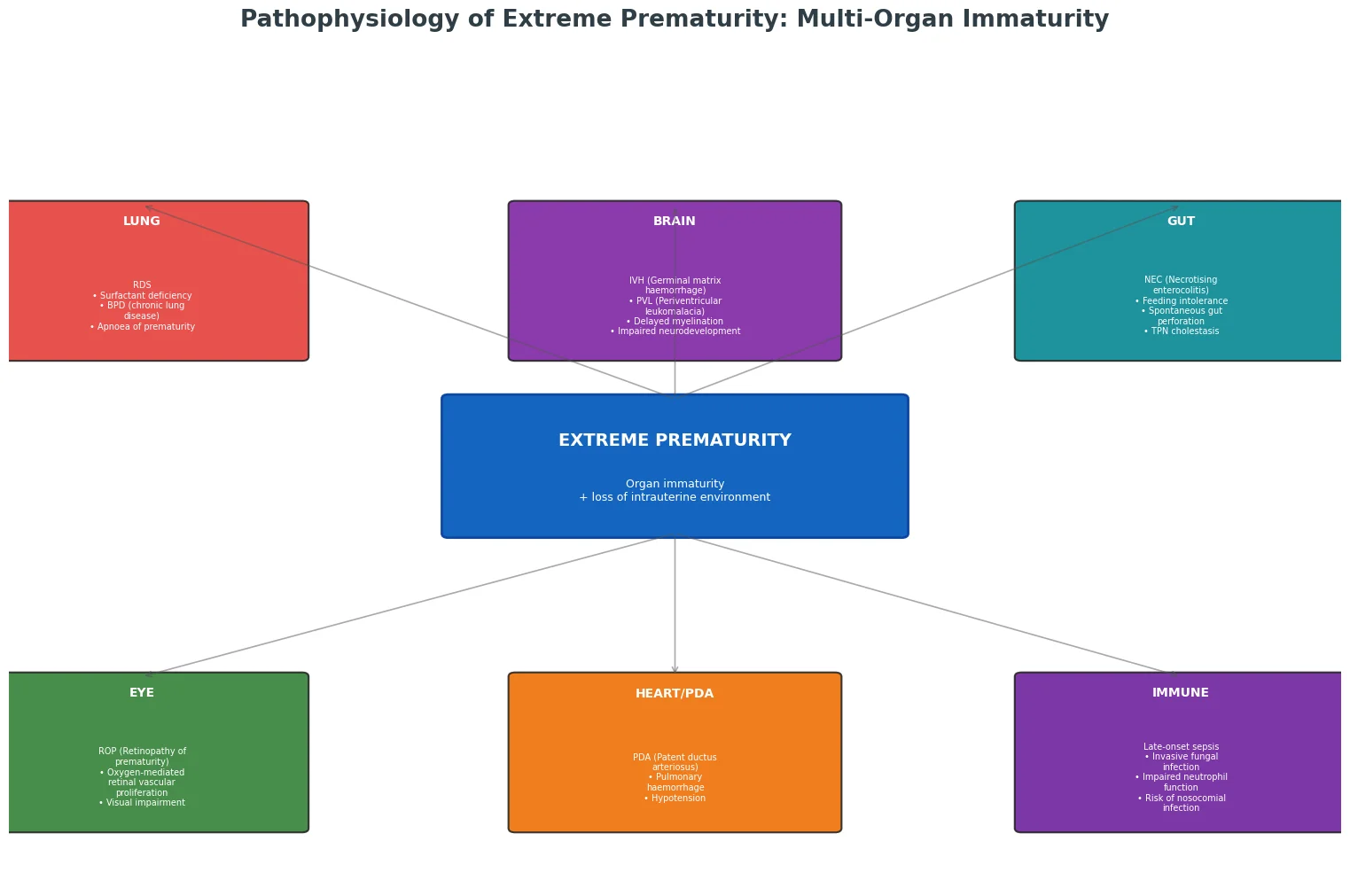 Diagram of multi-organ immaturity in extreme prematurity showing lung, brain, gut, eye, cardiac, and immune complications.