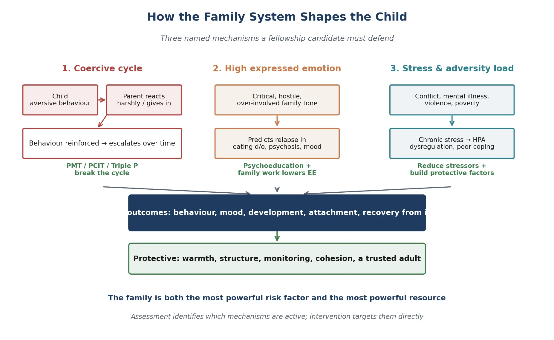 Mechanism diagram of the three family-system mechanisms, the coercive cycle, expressed emotion and chronic stress adversity load, converging on child outcomes with protective family factors and the intervention that targets each mechanism