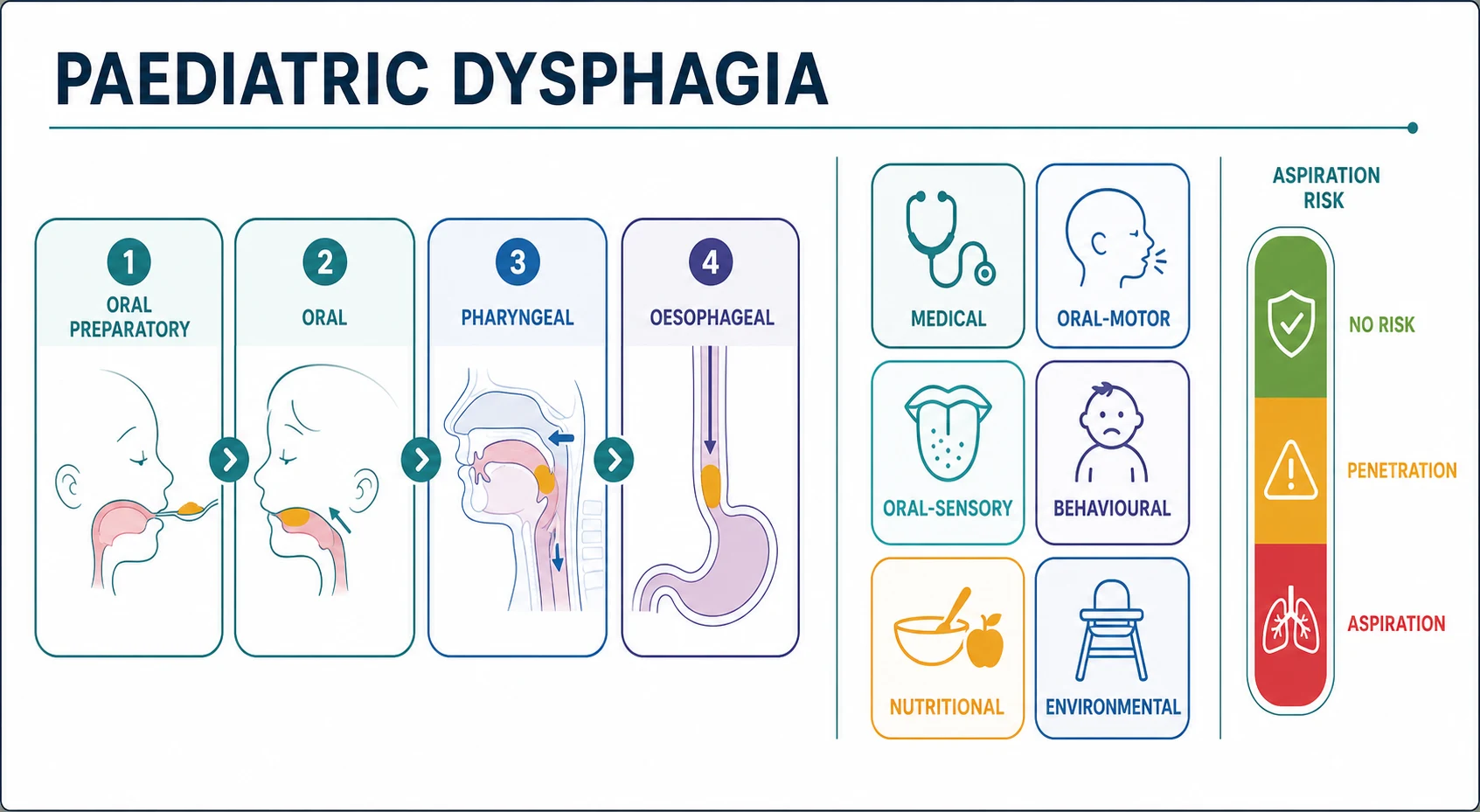 Classification of paediatric dysphagia: the four swallow phases as a left-to-right timeline of oral preparatory, oral, pharyngeal and oesophageal stages, alongside a grid of the driver categories of medical, oral-motor, oral-sensory, behavioural, nutritional and environmental feeding difficulty, and a green-yellow-red aspiration-risk gauge from no risk through penetration to aspiration