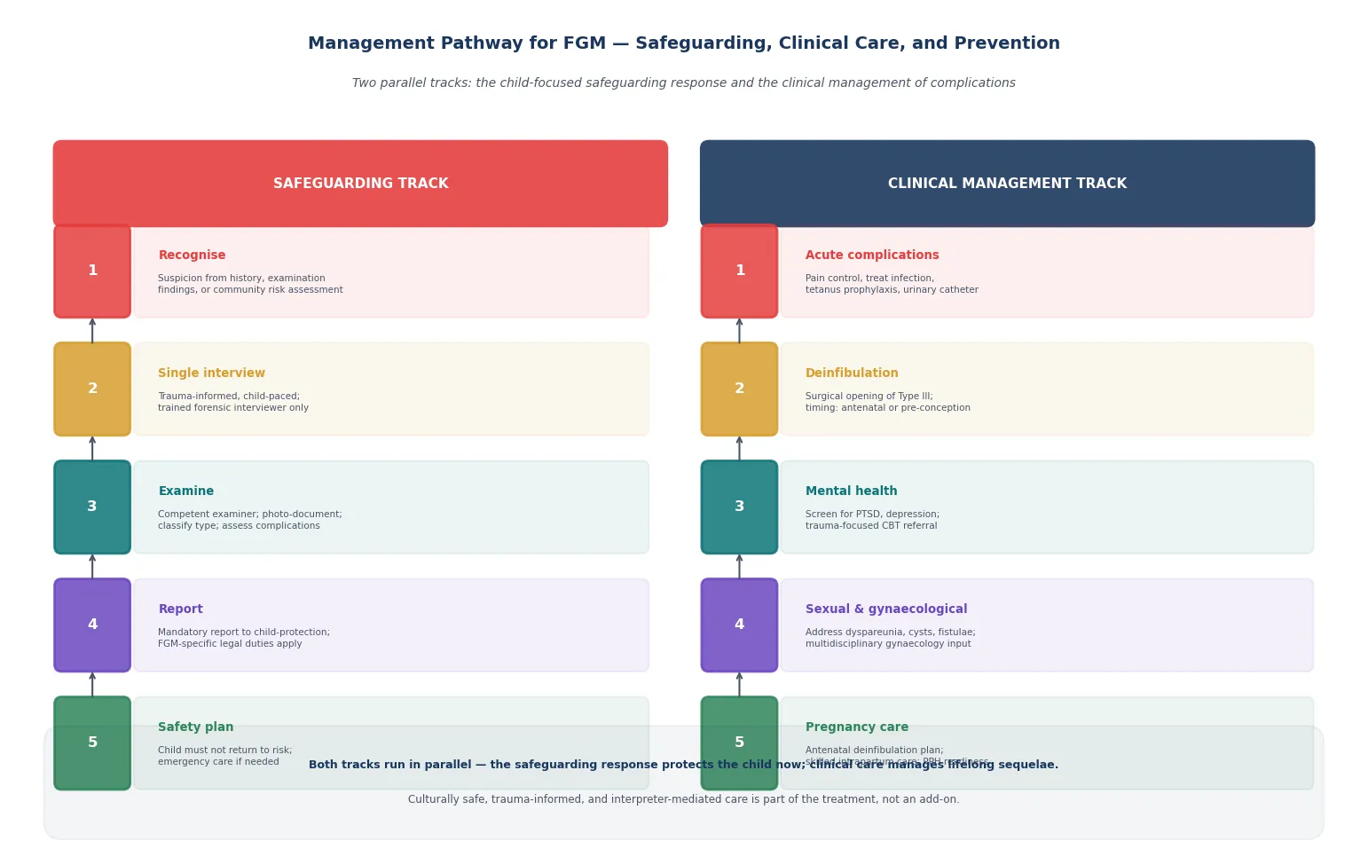 Educational schematic of the management pathway for FGM with a safeguarding track and a clinical management track running in parallel from recognition through follow-up