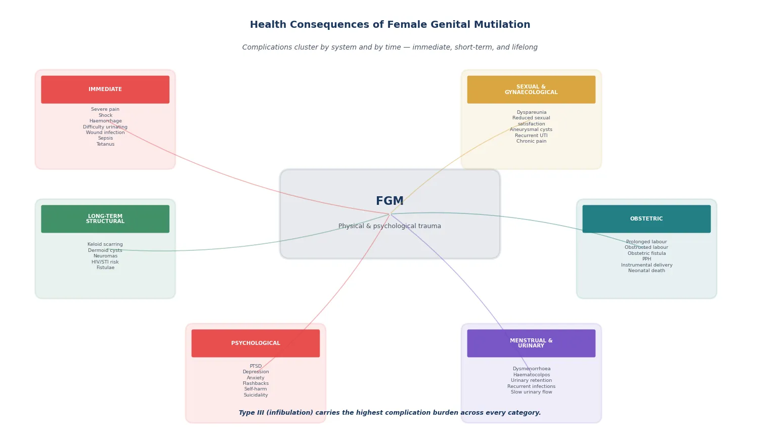 Educational schematic of the health consequences of female genital mutilation organised by system — immediate, sexual and gynaecological, obstetric, menstrual and urinary, psychological, and long-term structural