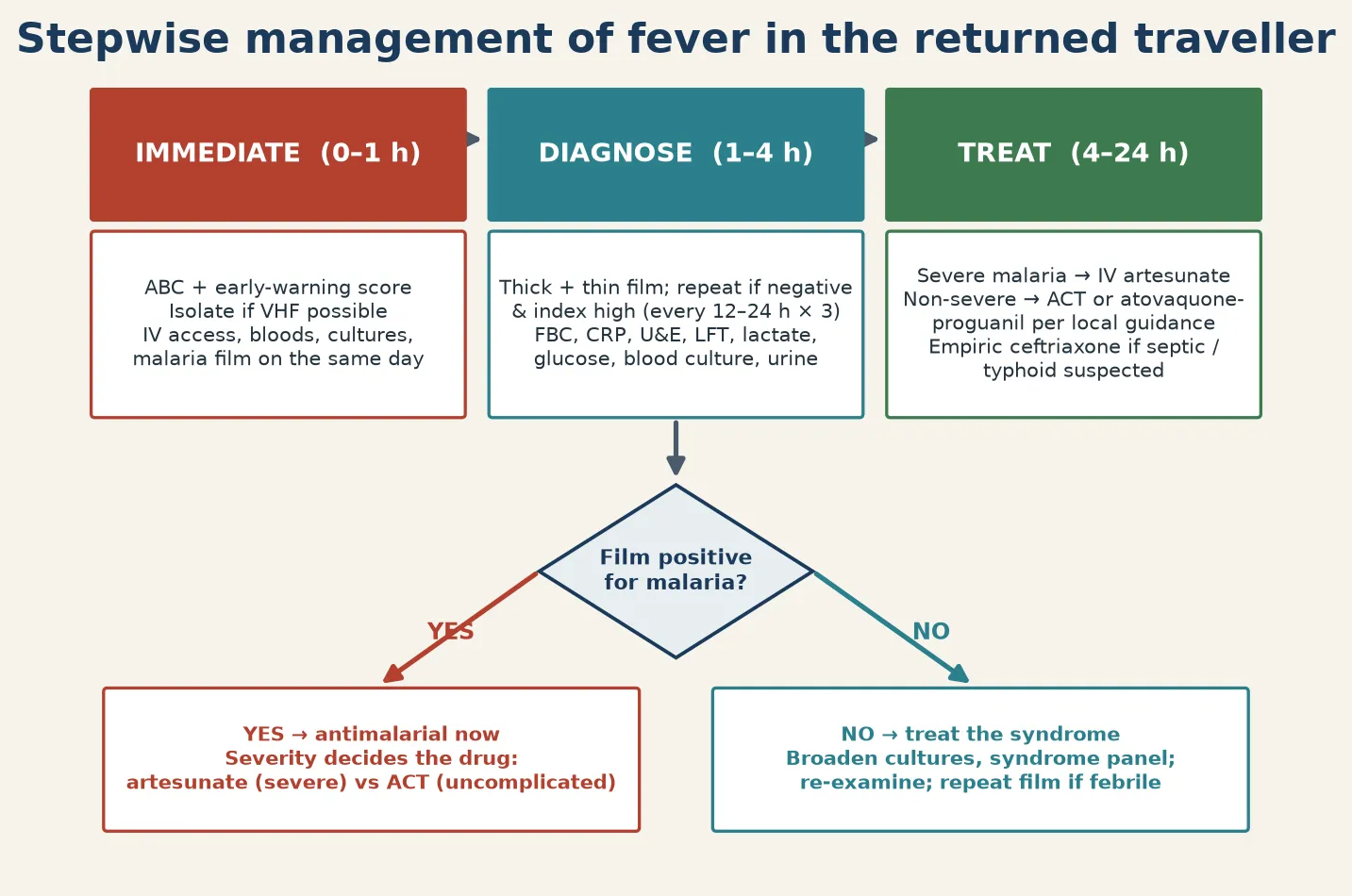 Stepwise management pathway — immediate, diagnose and treat lanes with the malaria decision point