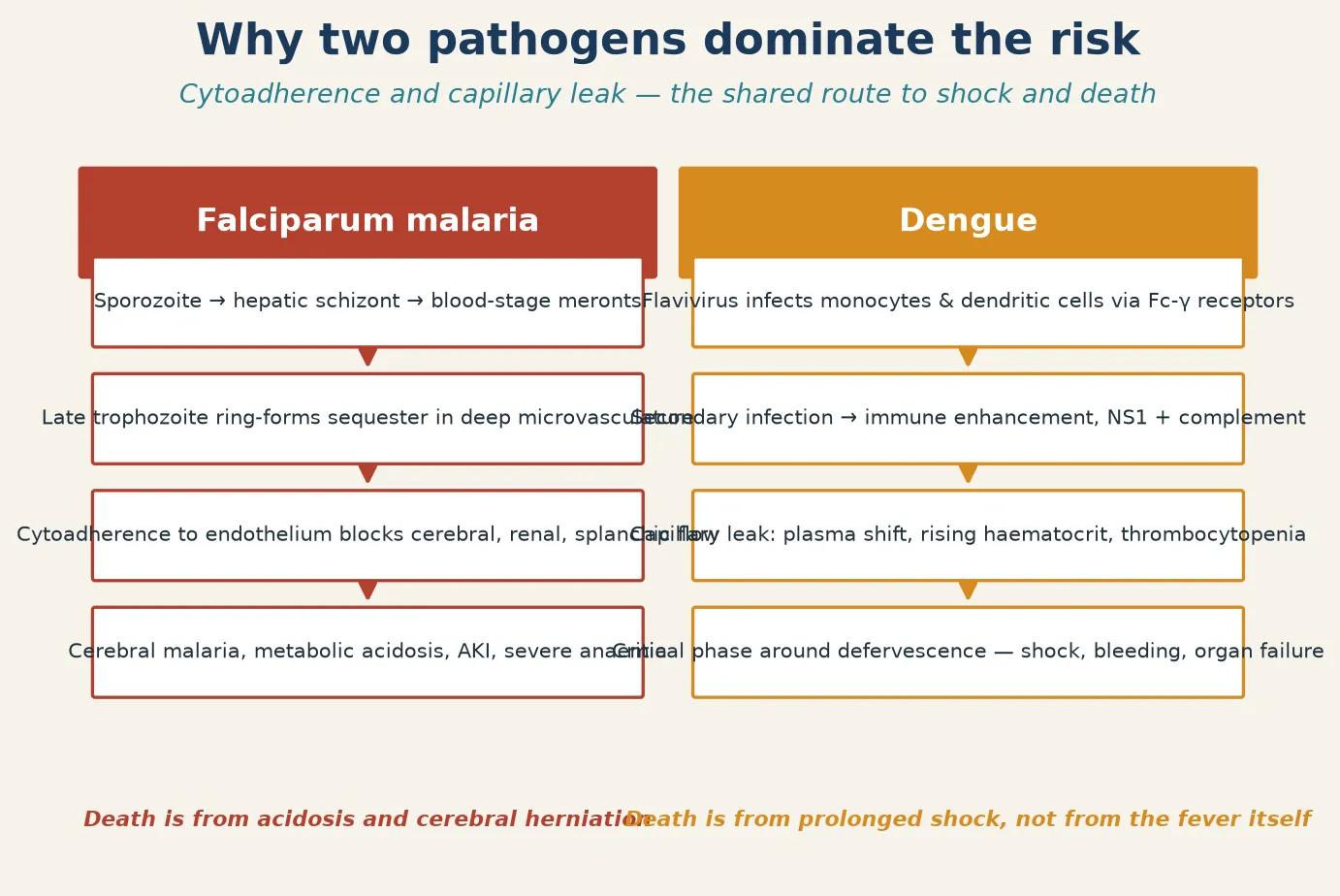 Pathophysiology of the two paradigm killers — cytoadherence in falciparum malaria and capillary leak in dengue
