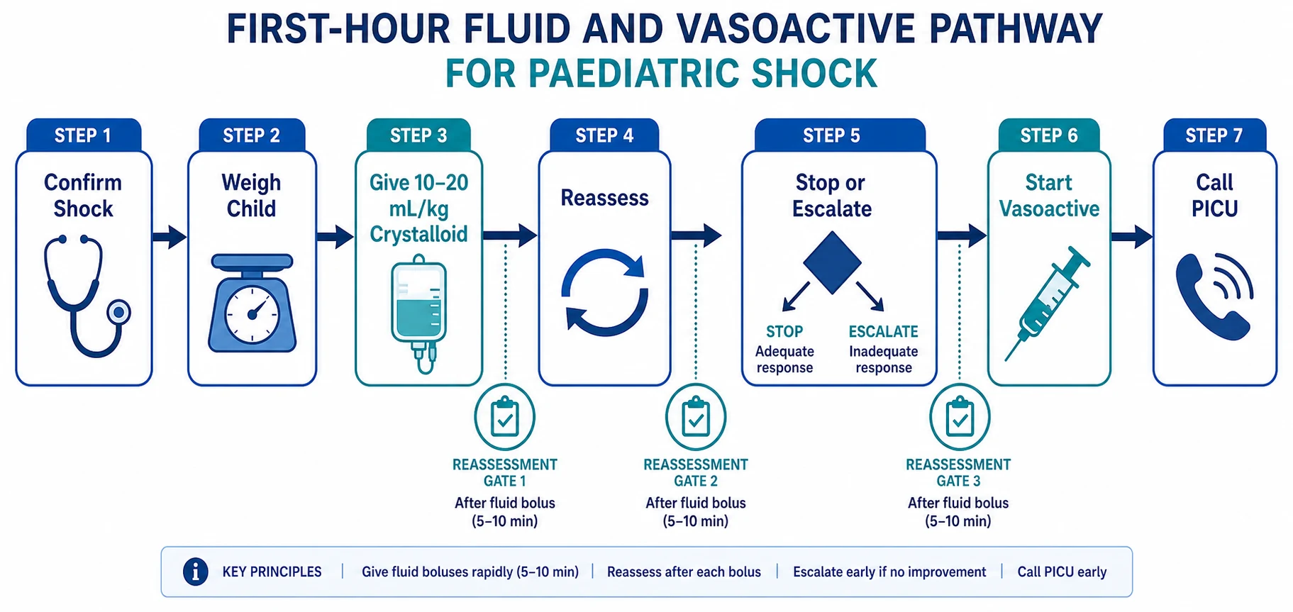 Reviewed educational schematic of the first-hour fluid and vasoactive pathway: confirm shock and weigh the child, give 10 to 20 mL per kilogram aliquots with reassessment gates after each, stop at overload or no benefit, escalate to adrenaline or noradrenaline at 0.05 to 0.5 micrograms per kilogram per minute for fluid-refractory shock, and call PICU or retrieval in parallel