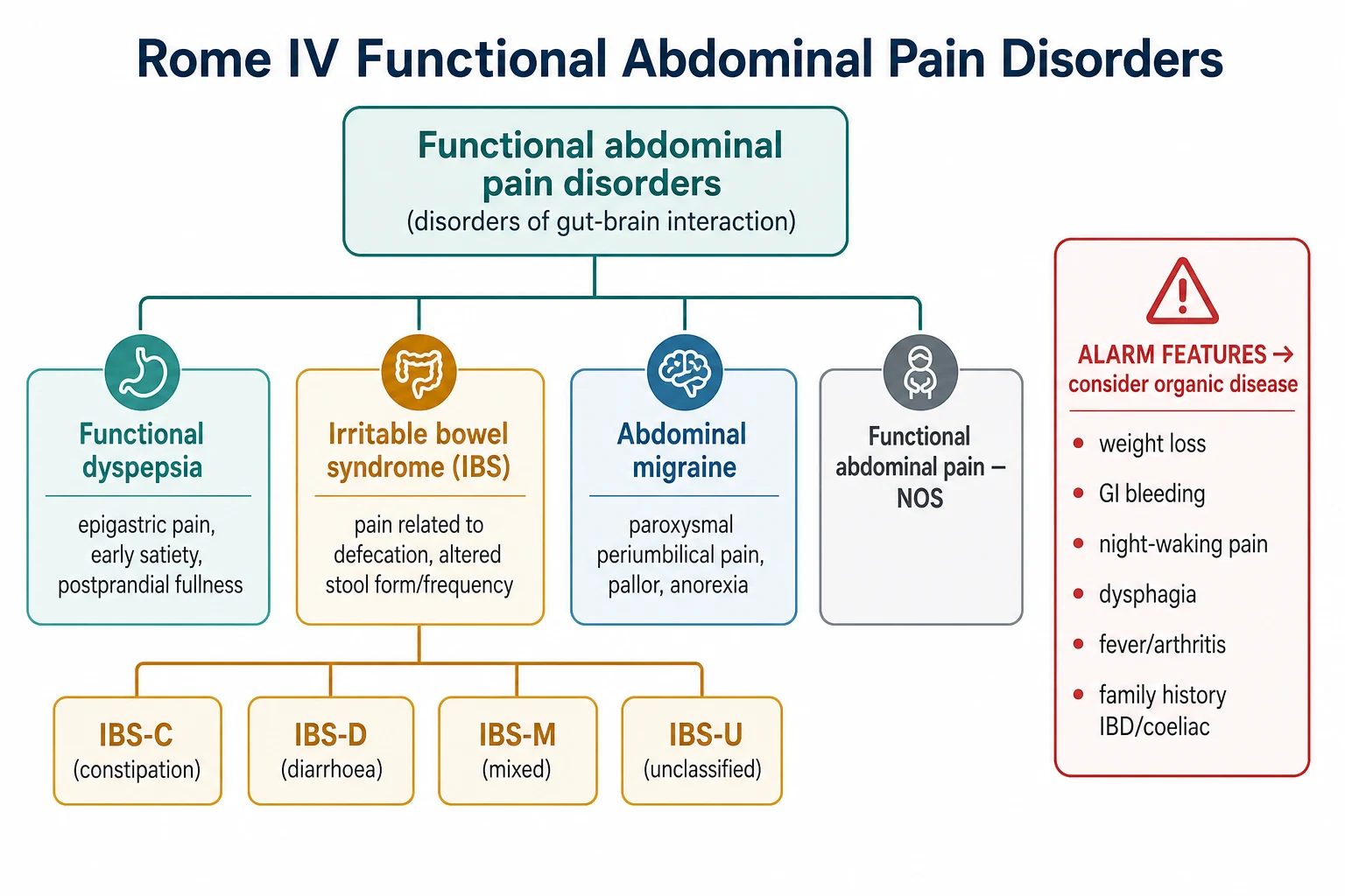 Classification diagram showing functional abdominal pain disorders branching into functional dyspepsia, irritable bowel syndrome, abdominal migraine, and functional abdominal pain not otherwise specified, with irritable bowel syndrome further divided into IBS-C, IBS-D, IBS-M, and IBS-U, alongside a red-bordered box of alarm features that suggest organic disease.