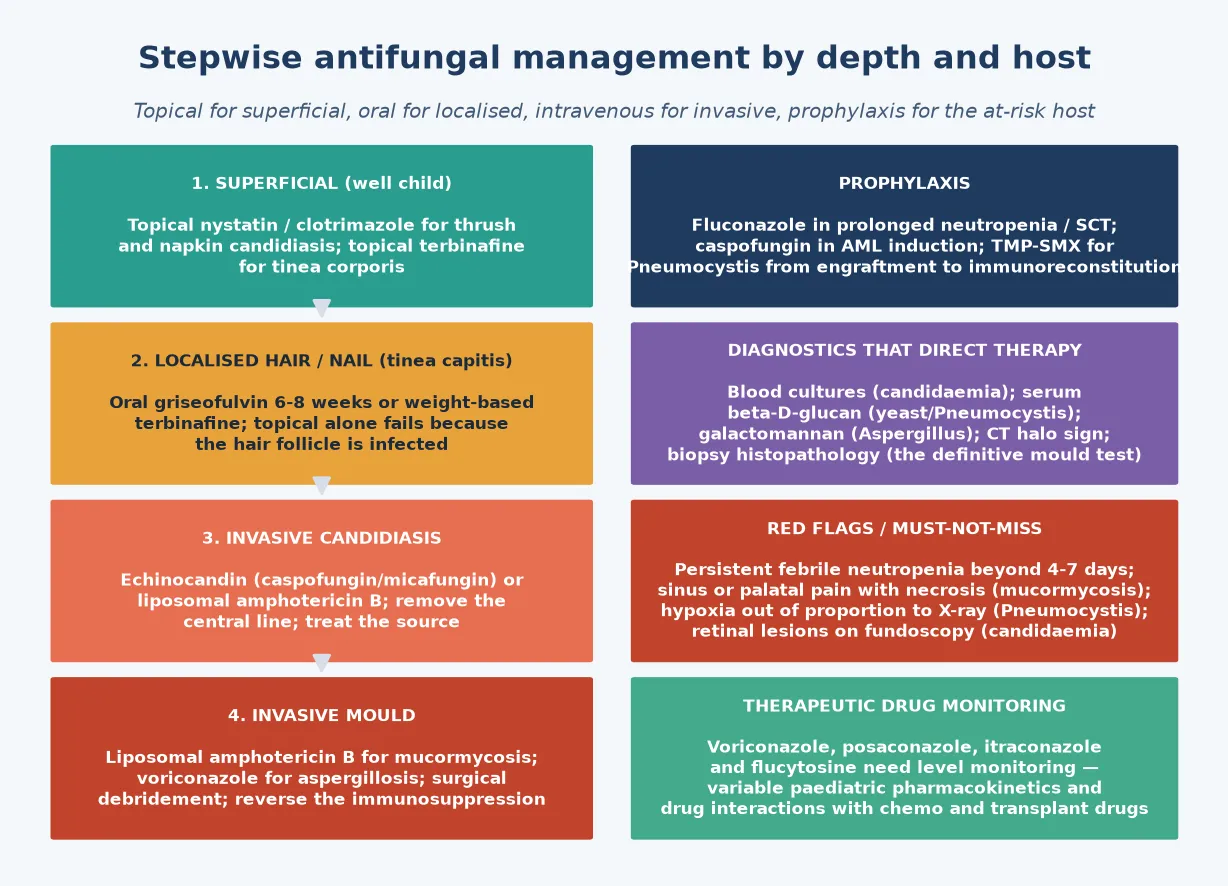 Four-tier stepwise antifungal management pathway: superficial disease in the well child (topical nystatin, clotrimazole, terbinafine); localised hair and nail disease (oral griseofulvin for 6-8 weeks or weight-based terbinafine); invasive candidiasis (echinocandin caspofungin or micafungin, or liposomal amphotericin B, with central-line removal); and invasive mould disease (liposomal amphotericin B for mucormycosis, voriconazole for aspergillosis, surgical debridement, reverse immunosuppression), with prophylaxis, diagnostics and therapeutic drug monitoring sidebars