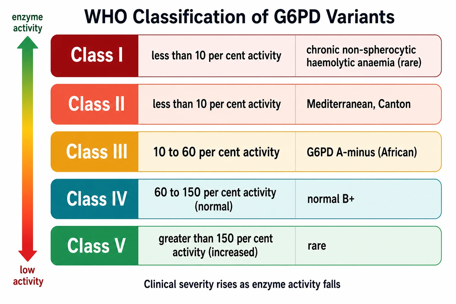 A clean medical-education classification diagram on a white background showing the five WHO classes of G6PD deficiency variants as colour-coded horizontal rows, each with its enzyme activity percentage range and a representative variant name, from Class I severe chronic non-spherocytic haemolytic anaemia at under ten per cent activity down to Class V increased activity at over one hundred and fifty per cent.