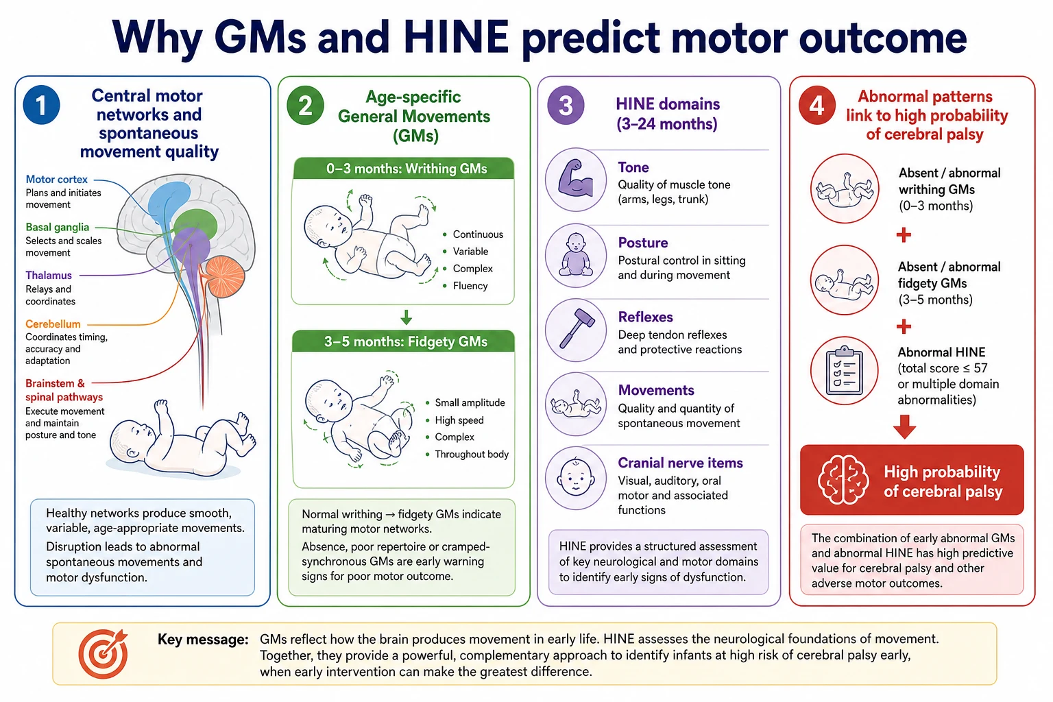 Mechanism diagram linking central motor network integrity to age-specific general movement expression and HINE neurological domains