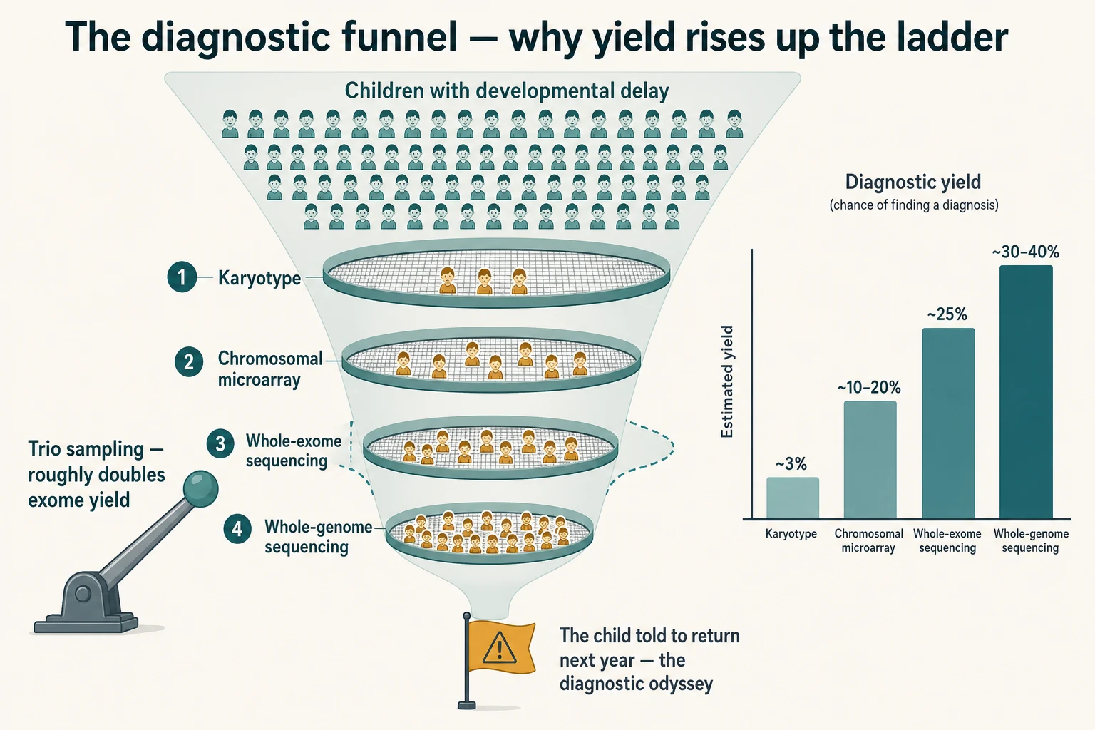 A conceptual infographic of the diagnostic funnel: at the wide top a population of children with developmental delay; a narrowing band filters through karyotype then chromosomal microarray then whole-exome then whole-genome; alongside, a bar chart rises from ~10% to ~25% to ~40% diagnostic yield; an arrow labels trio sampling as the lever that widens yield; a red flag marks the child who is told to return next year instead of being escalated