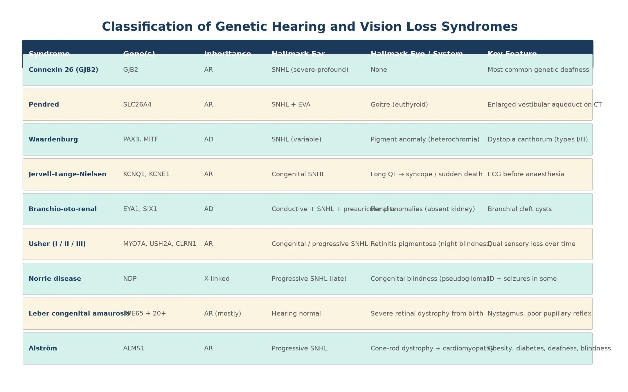 Classification table listing nine syndromes across columns for syndrome name, gene, inheritance, hallmark ear finding, hallmark eye or system finding, and key discriminating feature, including GJB2, Pendred, Waardenburg, Jervell and Lange-Nielsen, branchio-oto-renal, Usher, Norrie, Leber congenital amaurosis, and Alstrom syndrome