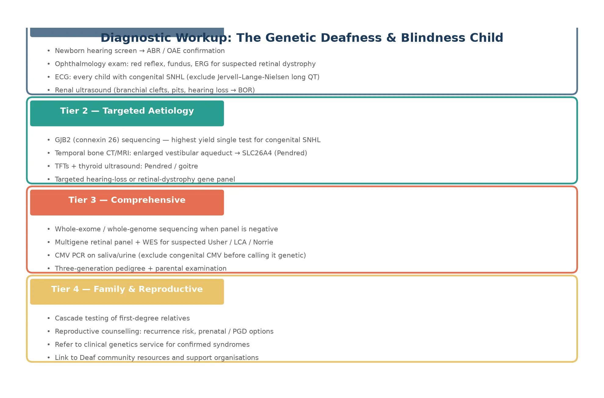 Four-tier diagnostic workup showing tier one bedside and first-line tests including ABR and ECG, tier two targeted aetiology including GJB2 testing and temporal bone imaging, tier three comprehensive testing including whole-exome sequencing and retinal gene panels, and tier four family and reproductive including cascade testing and genetic counselling