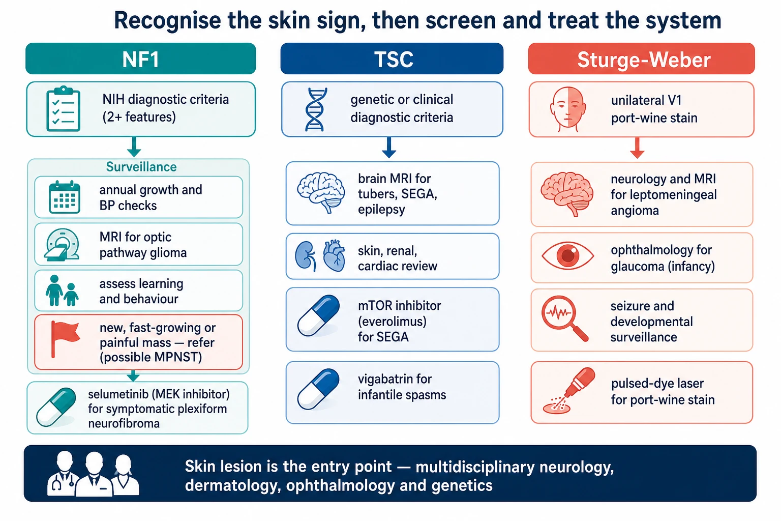 Three-column stepwise management pathway under the title recognise the skin sign then screen and treat the system: column one NF1 with NIH criteria, annual growth and blood pressure checks, optic pathway glioma imaging, learning and behaviour assessment, a red-flag box for a new fast-growing or painful mass as possible malignant peripheral nerve sheath tumour, and a selumetinib MEK inhibitor pill for symptomatic plexiform neurofibroma; column two TSC with diagnostic criteria, brain MRI for tubers and subependymal giant cell astrocytoma and epilepsy, skin renal cardiac review, an everolimus mTOR inhibitor pill for the astrocytoma and a vigabatrin pill for infantile spasms; column three Sturge-Weber with a unilateral V1 port-wine stain, neurology and MRI for the leptomeningeal angioma, ophthalmology for infant glaucoma, seizure and developmental surveillance, and a pulsed-dye laser for the stain