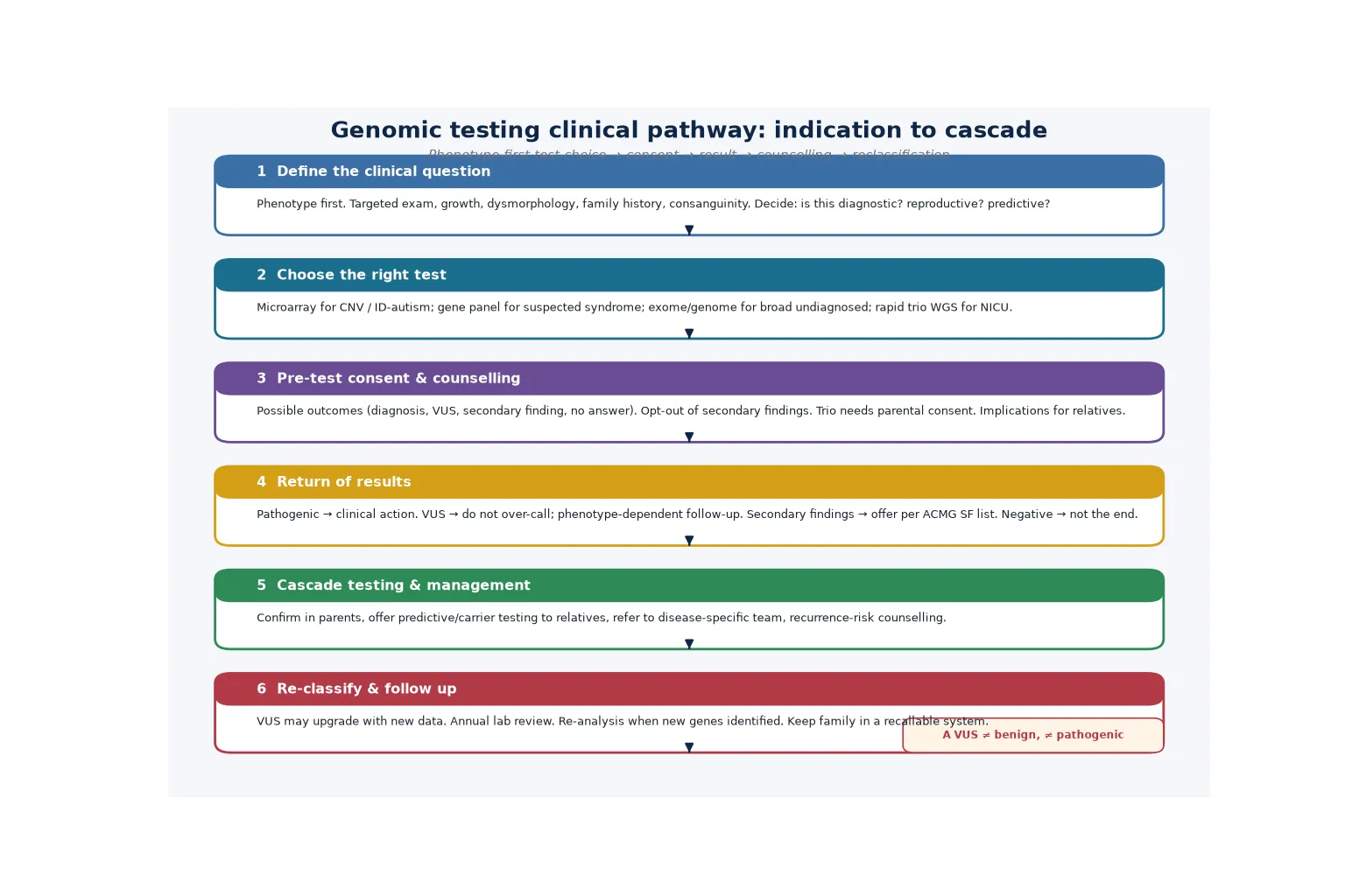 Five-step management ladder from clinical confirmation and test selection through ACMG/AMP variant classification, pre- and post-test counselling, cascade family testing with segregation analysis, to periodic re-analysis every 2 to 3 years, with a footer on the management of secondary findings and variants of uncertain significance