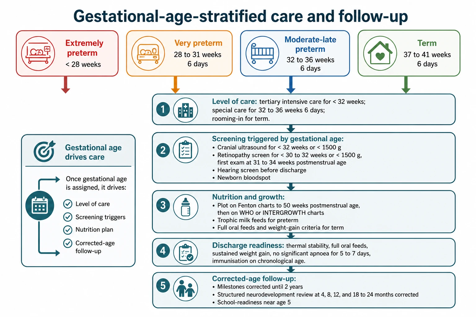 Educational schematic of the gestational-age-stratified care, screening, nutrition and corrected-age follow-up pathway