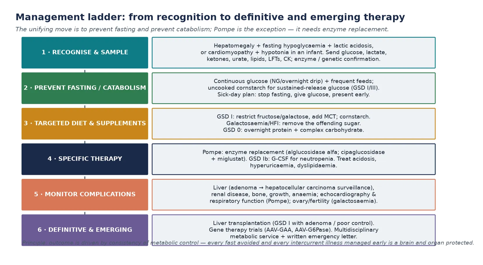 A six-step management ladder running from recognise-and-sample through prevent fasting and catabolism (continuous glucose plus uncooked cornstarch), targeted diet and supplements (fructose and galactose restriction in GSD I, sugar removal in galactosaemia and hereditary fructose intolerance), specific therapy (enzyme replacement for Pompe, G-CSF for GSD Ib neutropenia), monitoring of complications (liver adenoma surveillance, renal disease, bone, growth), to definitive and emerging therapy (liver transplantation, gene therapy trials) with a footer stating that outcome is driven by consistency of metabolic control